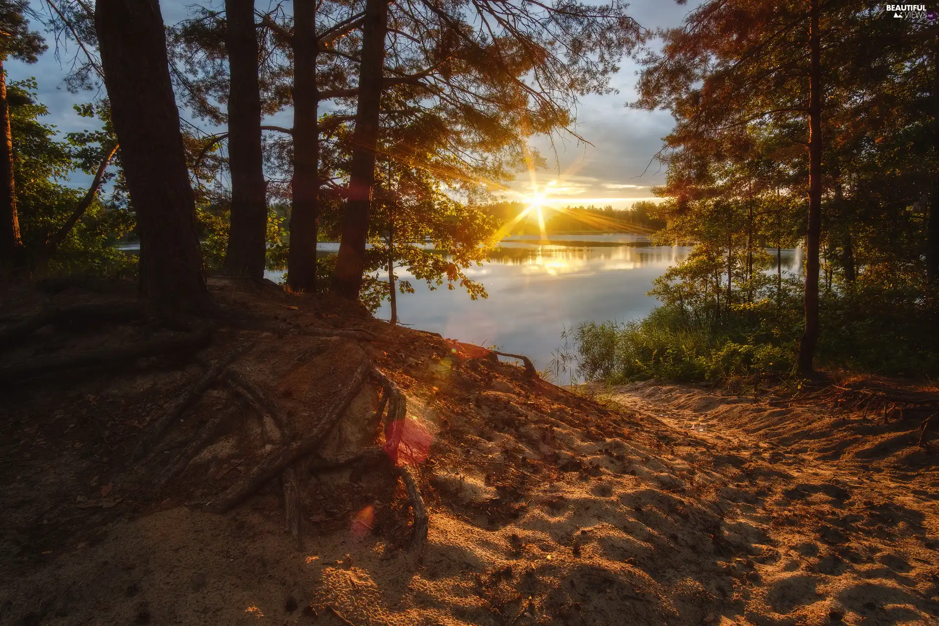 dawn, Sunrise, viewes, lake, trees