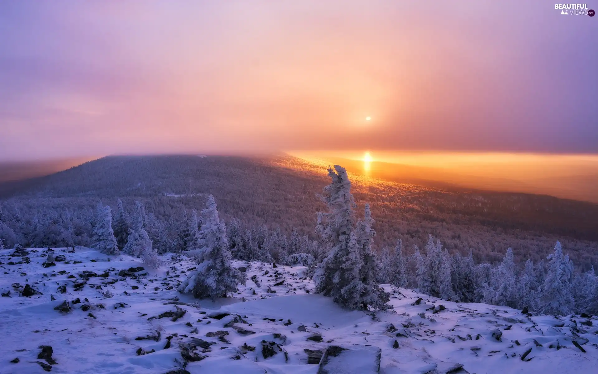 viewes, forest, Hill, trees, winter, Mountains, Great Sunsets