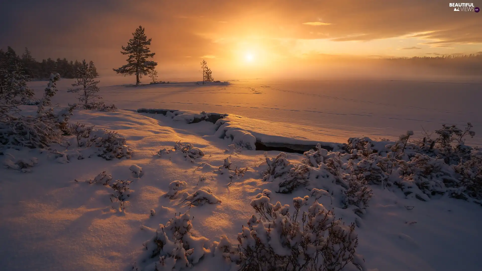 viewes, winter, snowy, Ringerike, lake, Great Sunsets, snow, Norway, Plants, trees