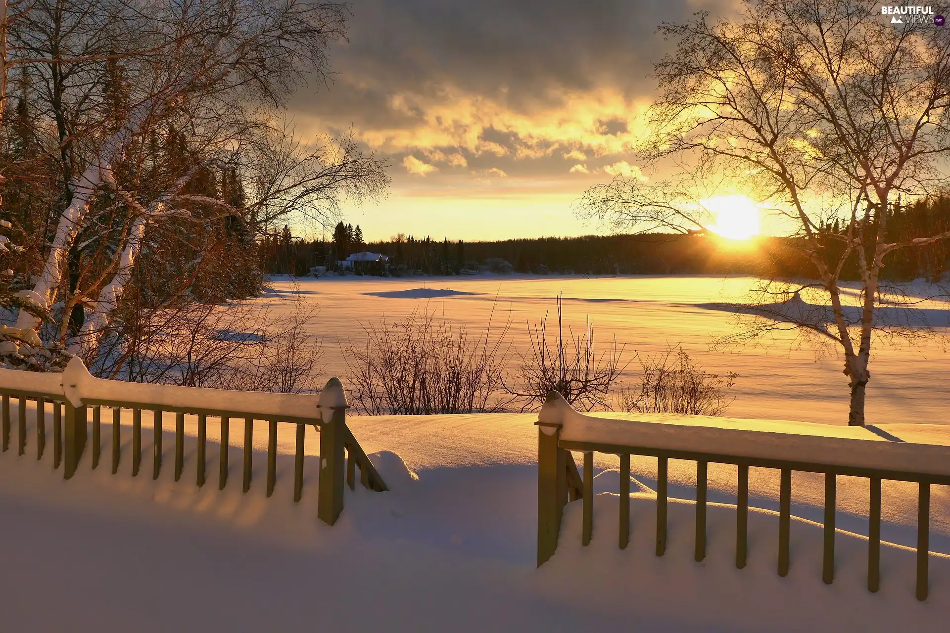 viewes, Fance, Great Sunsets, trees, winter