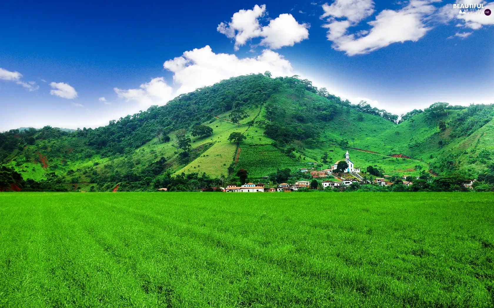 Austria, field, The Hills, Tirol