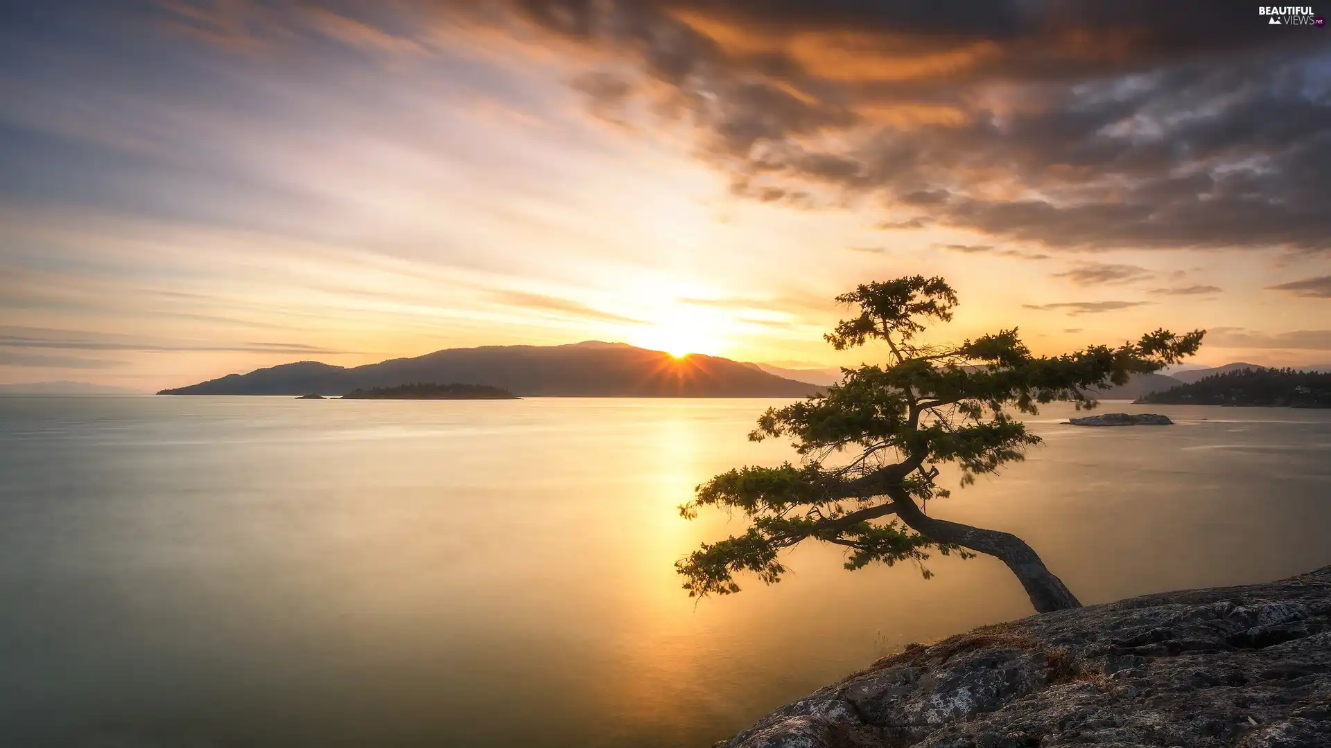 Sunrise, clouds, pine, The Hills, sea