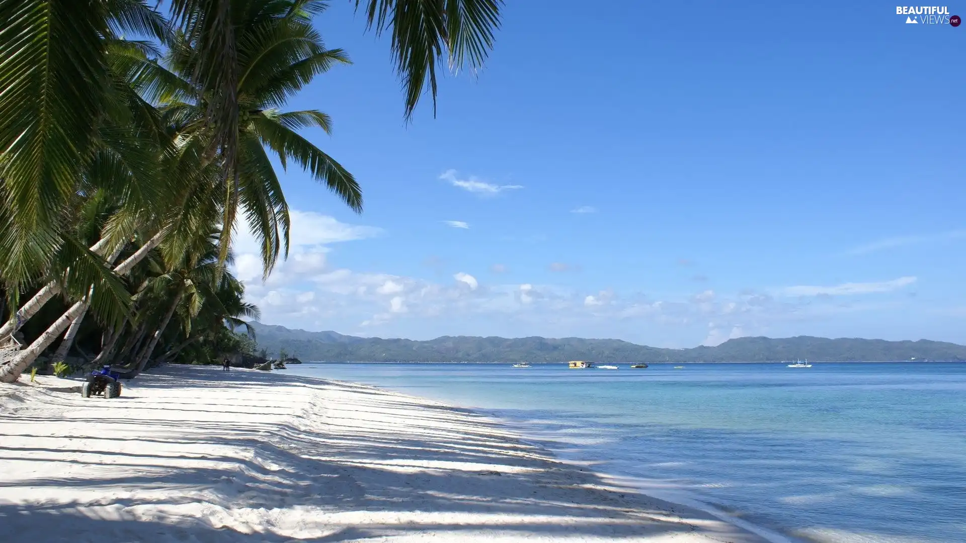 The Hills, Sky, Palm, water, Sand