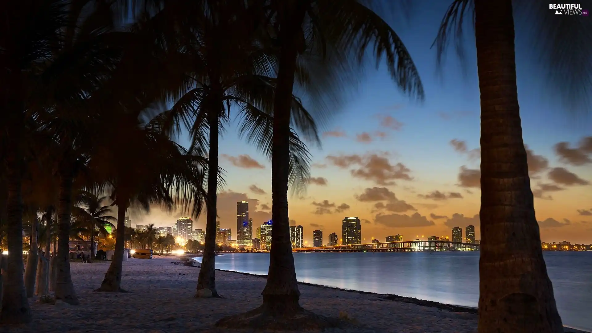 Town, twilight, Coast, Palms, Beaches