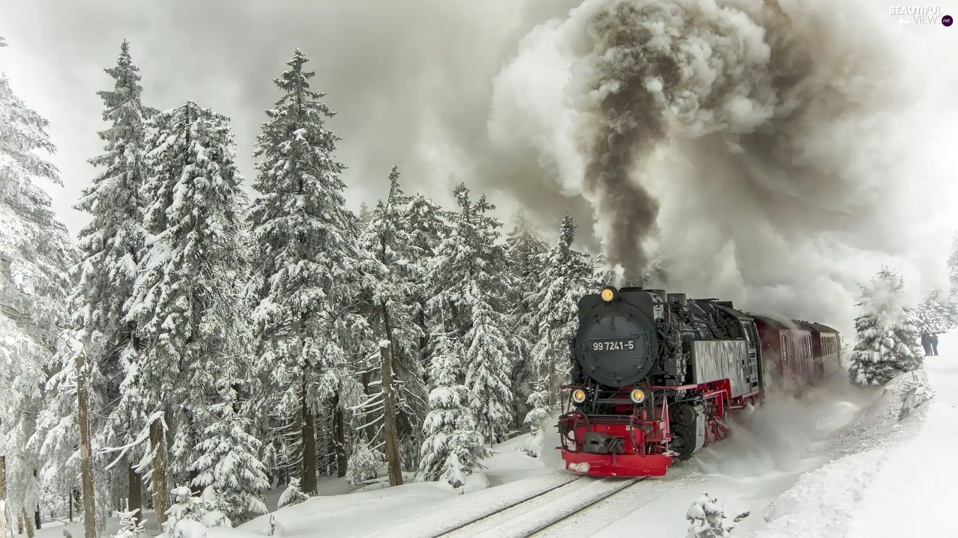 Train, winter, forest