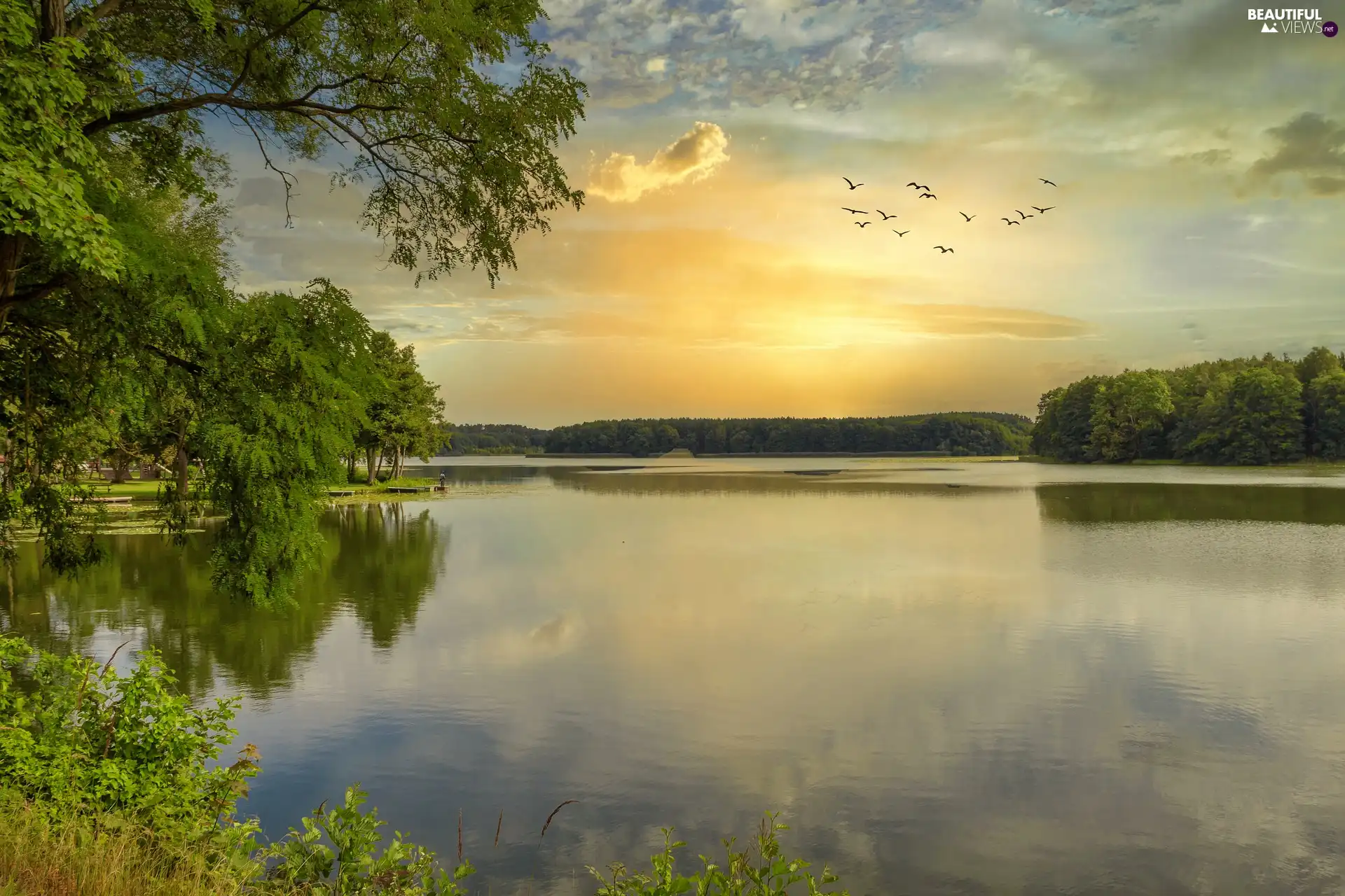 viewes, Sunrise, birds, trees, lake, forest, clouds