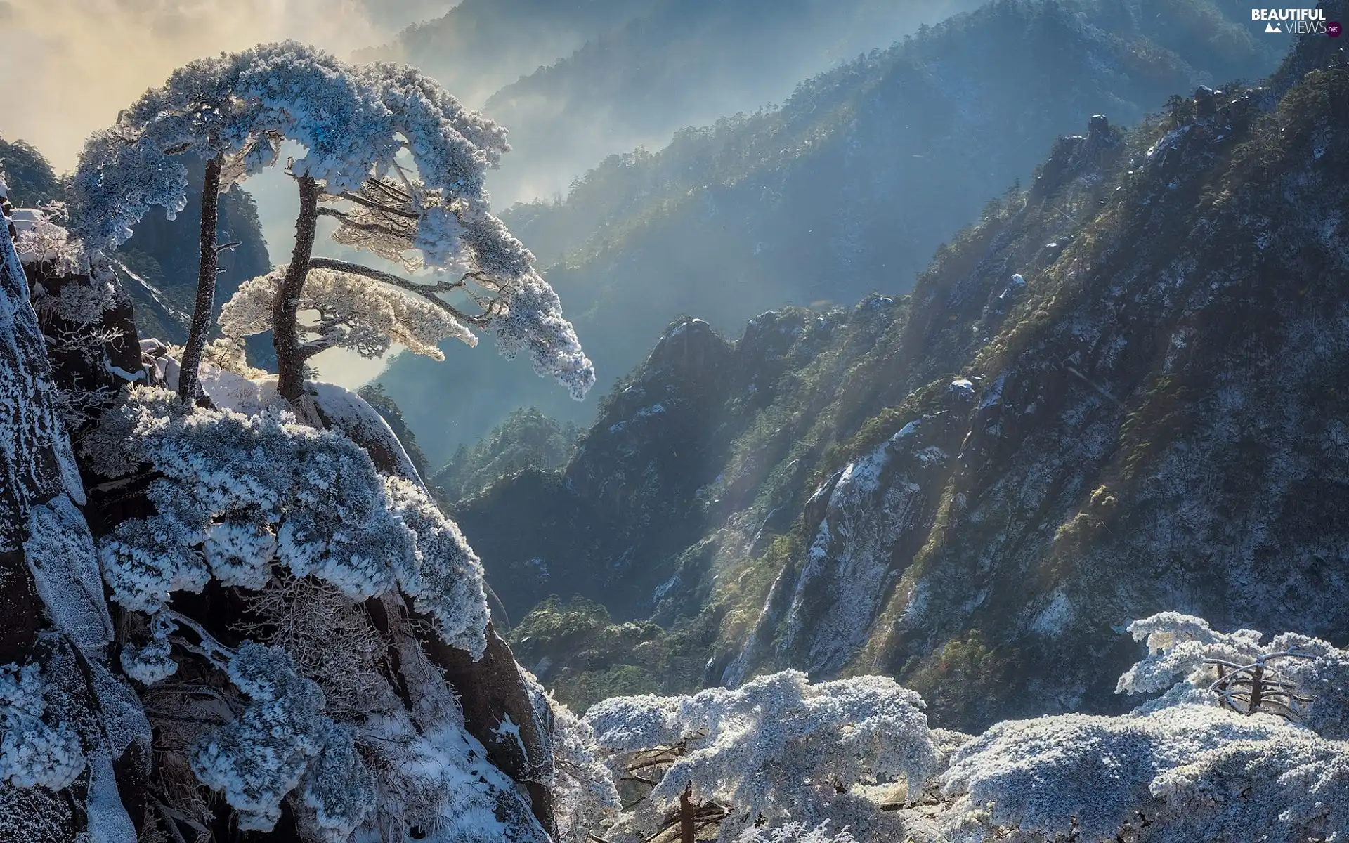 Anhui Province, China, Huang Shan Mountains, winter, pine, Fog, trees, viewes, frosty