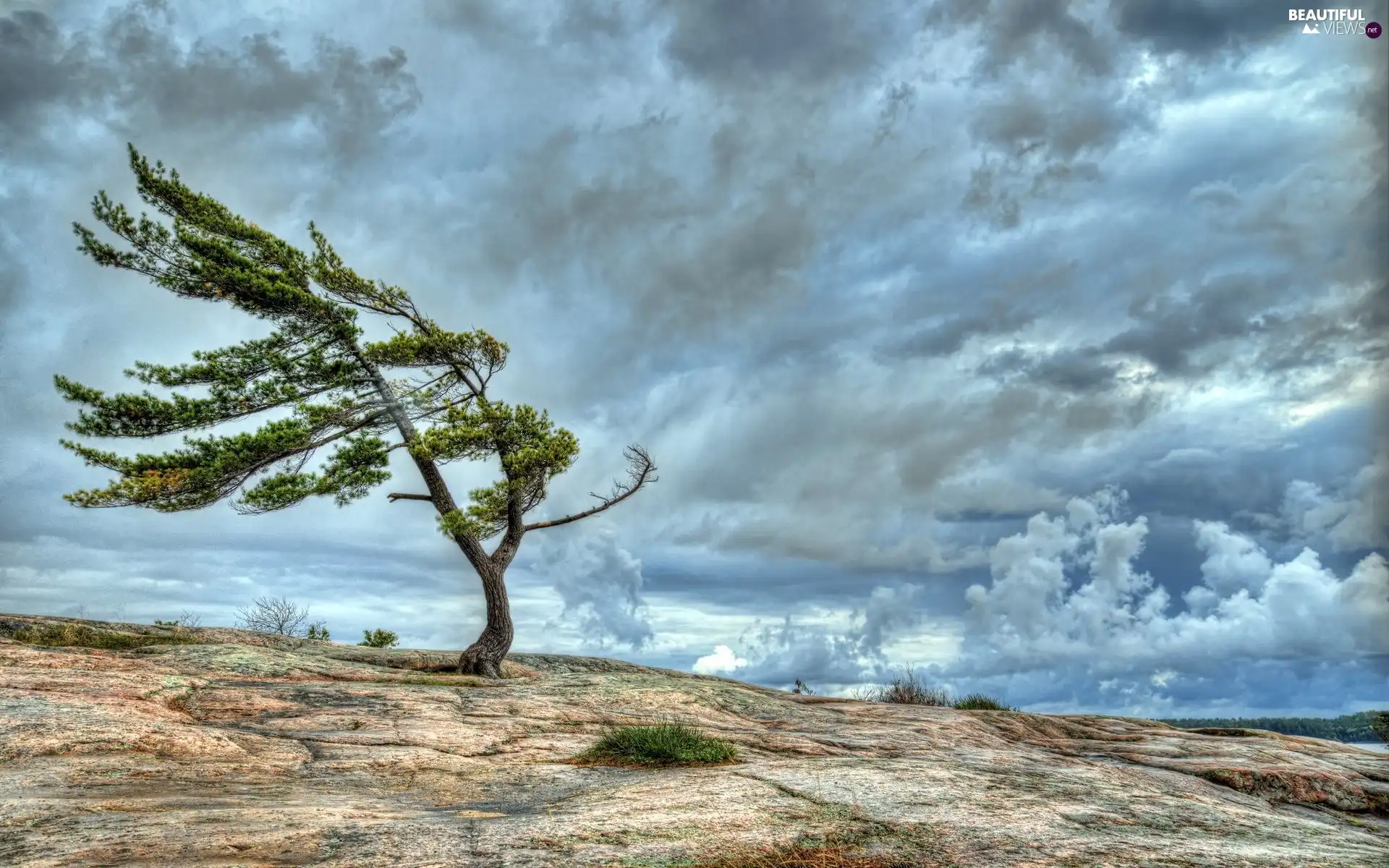 clouds, trees