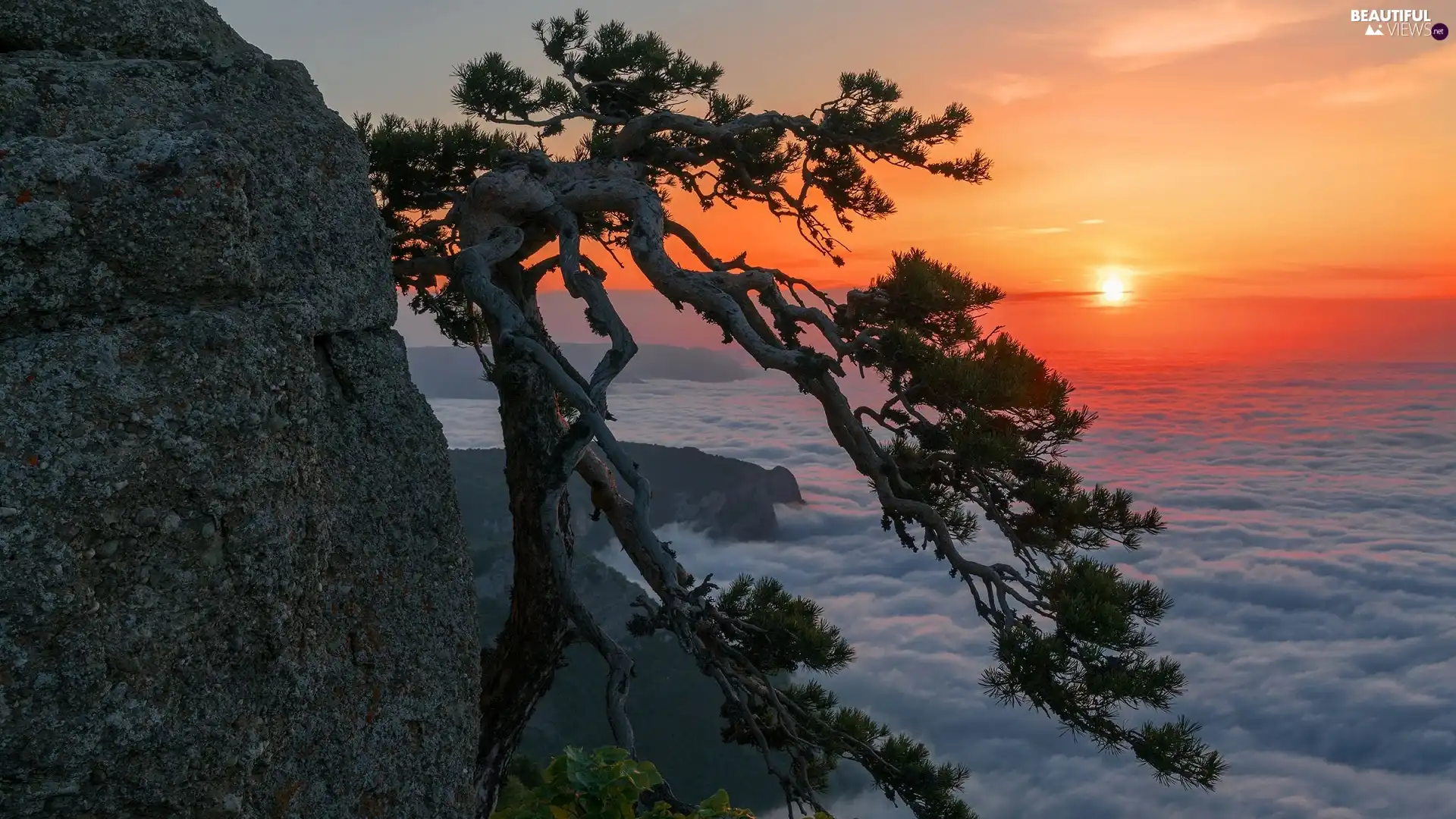 Alushta City, Crimea, Demerji Mountain, Ghost Valley, clouds, sea, trees, pine, Sunrise