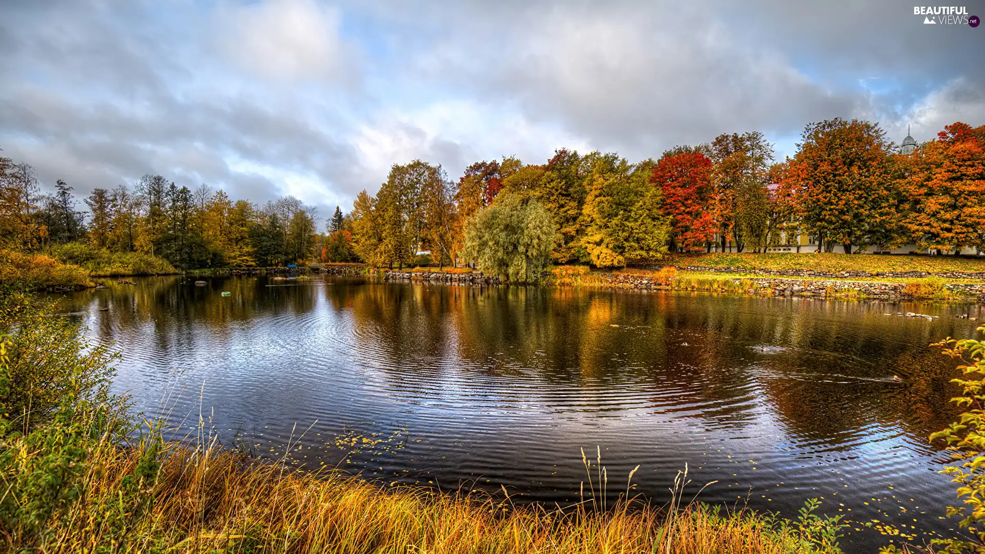 viewes, River, grass, trees, autumn, Bush, clouds