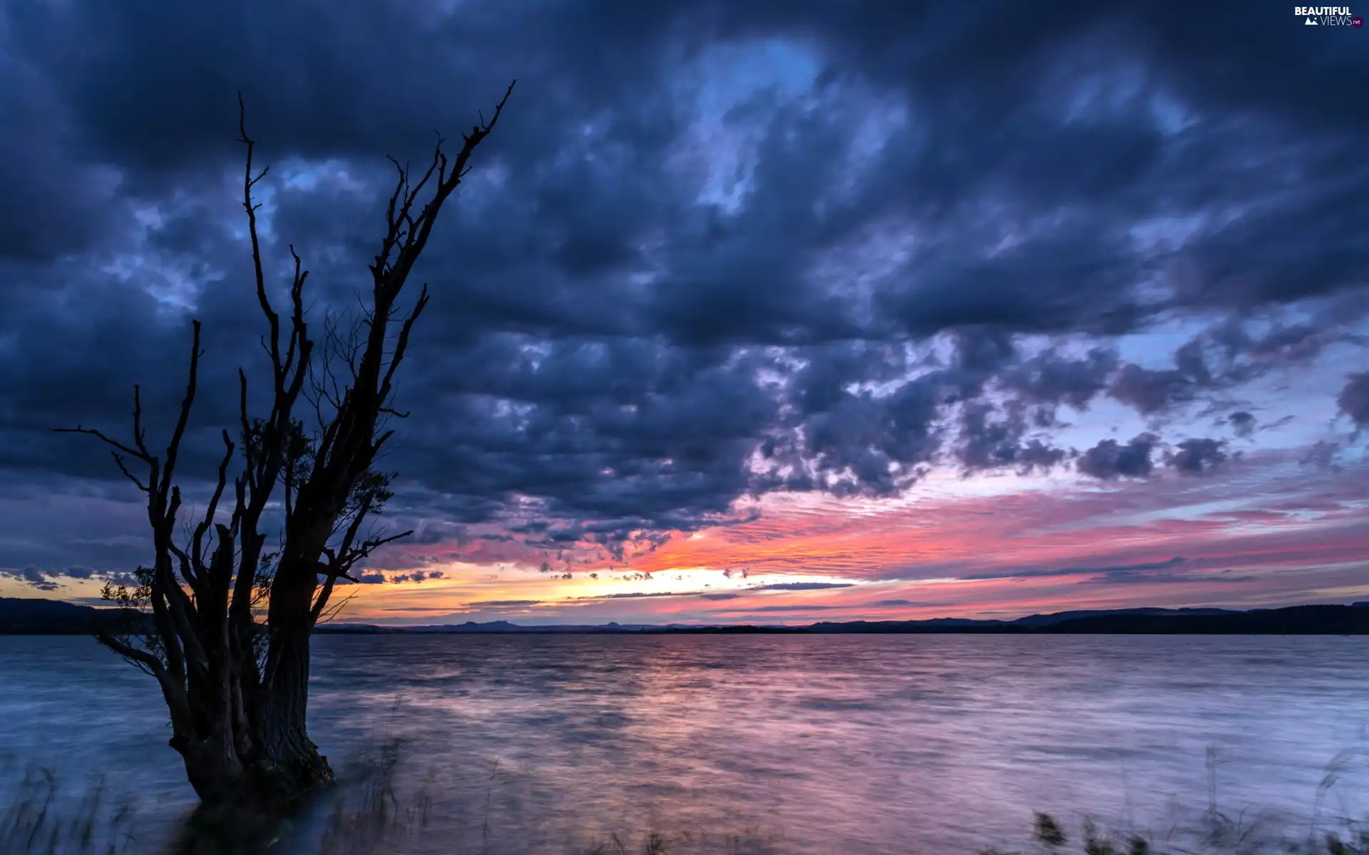 trees, clouds, lake