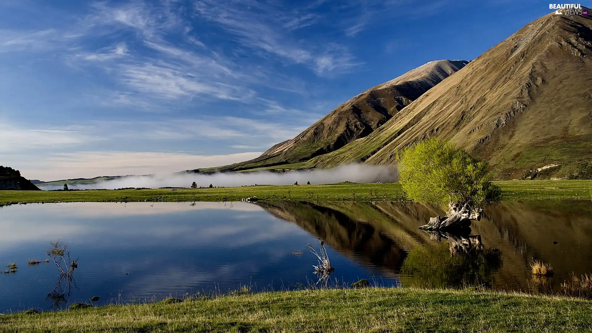 trees, Mountains, lake