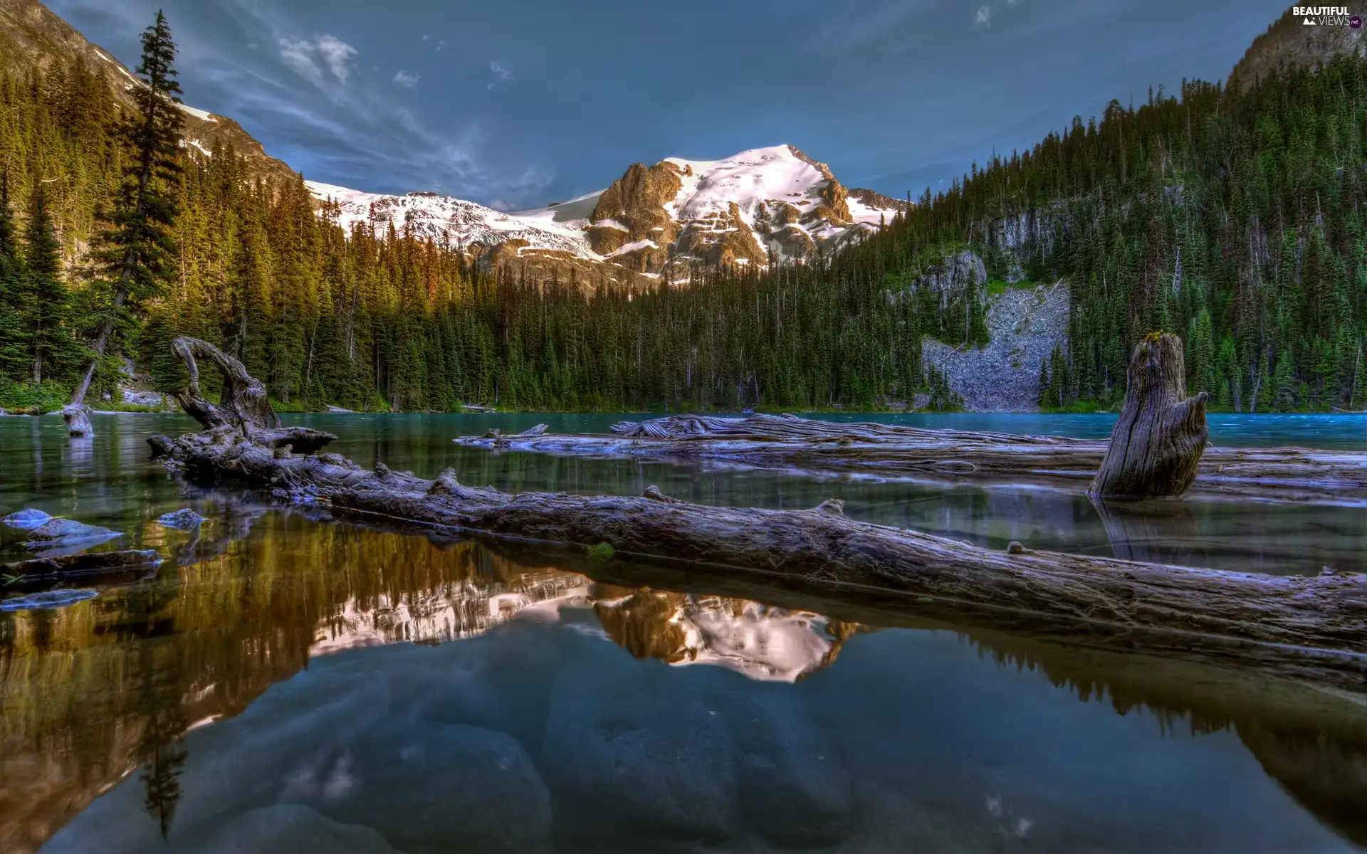 lake, Stems, trees, Mountains