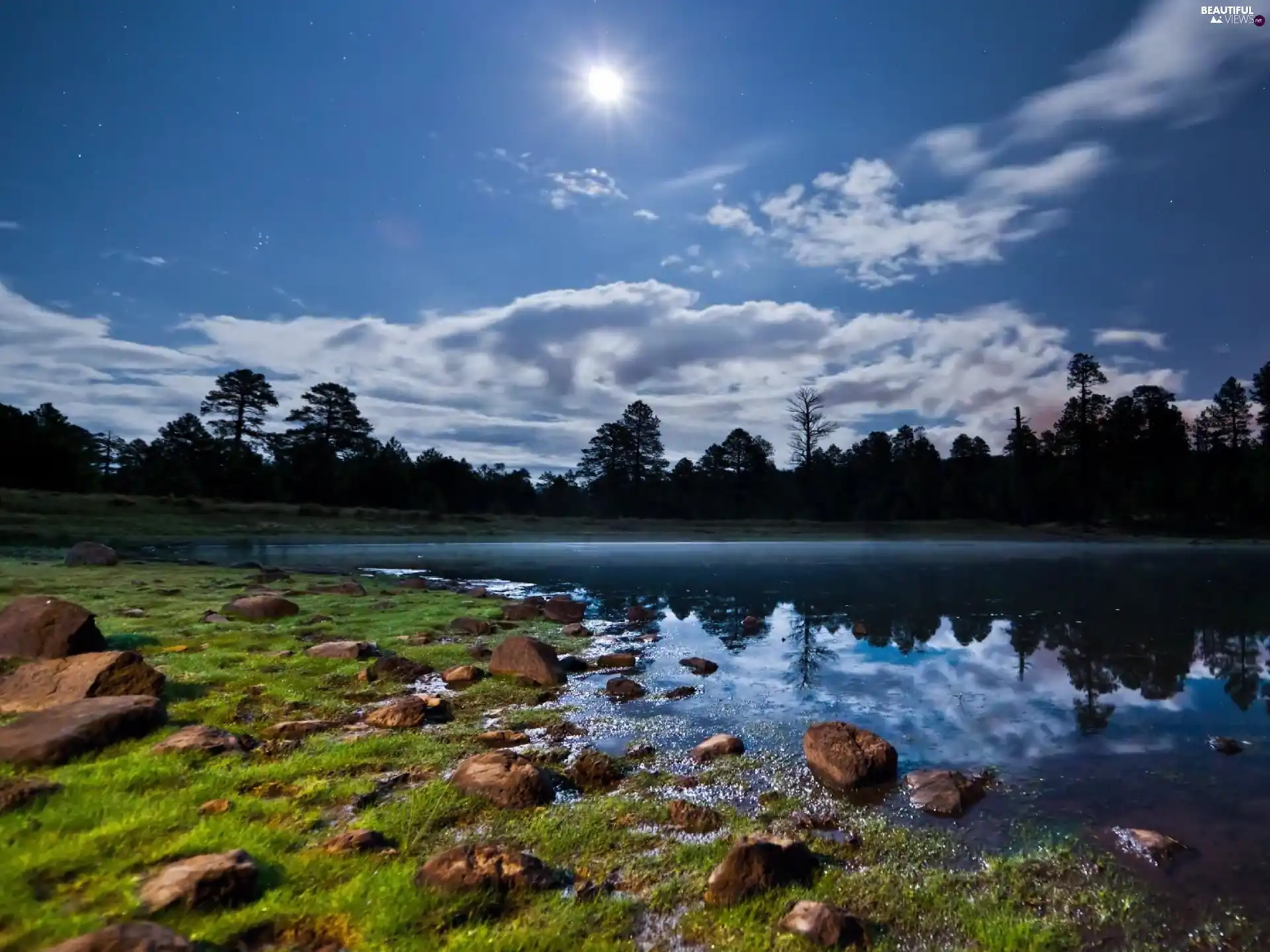 Stones, River, trees, viewes, flash, luminosity, ligh, sun, Przebijające