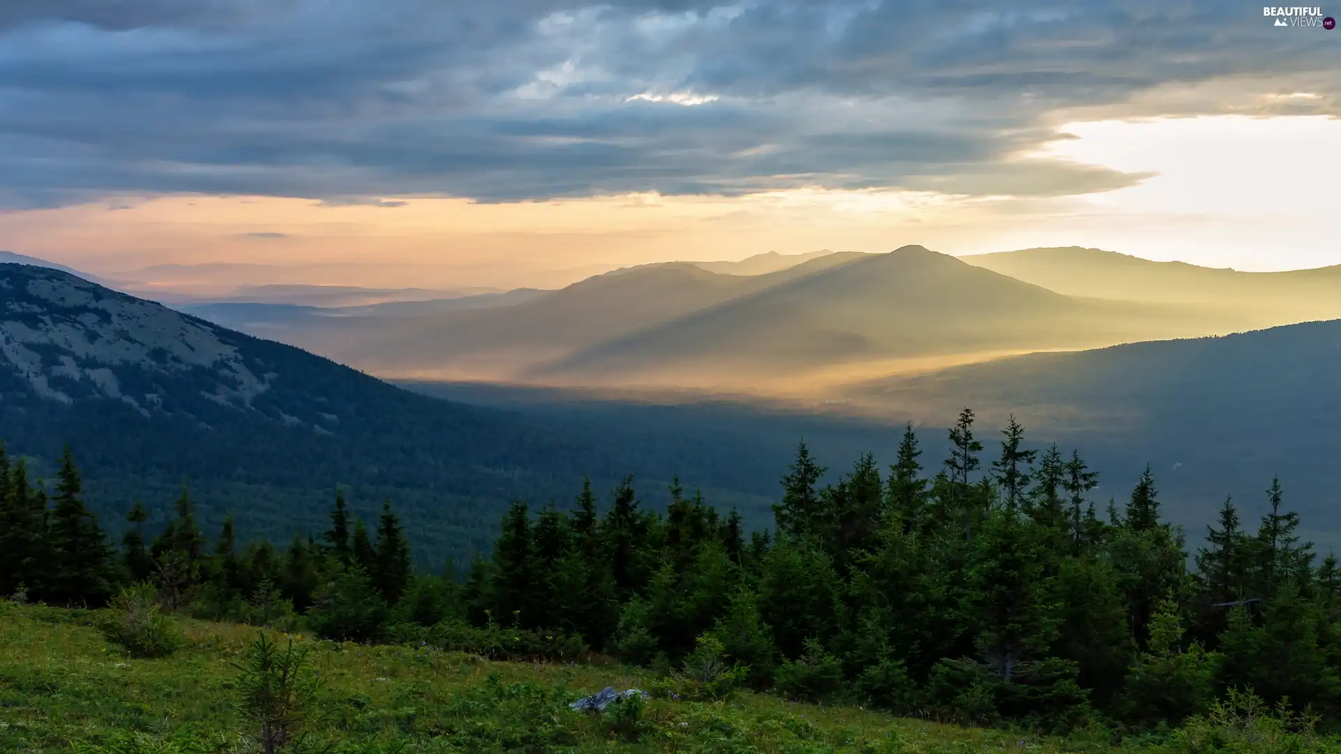 Mountains, viewes, Sunrise, trees