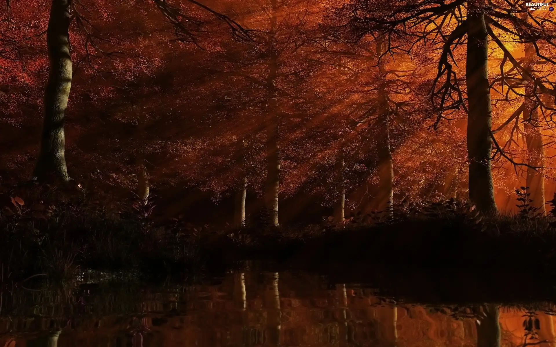 viewes, Pond - car, trees