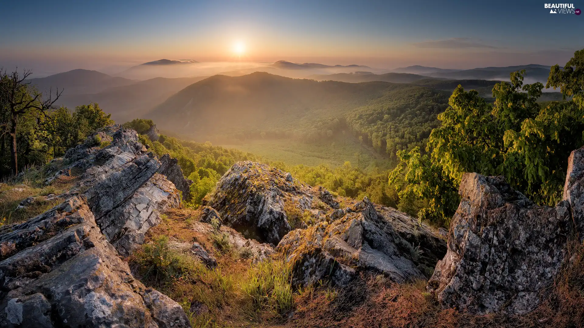 rocks, Sunrise, Slovakia, Fog, viewes, carpathians, Mountains, trees