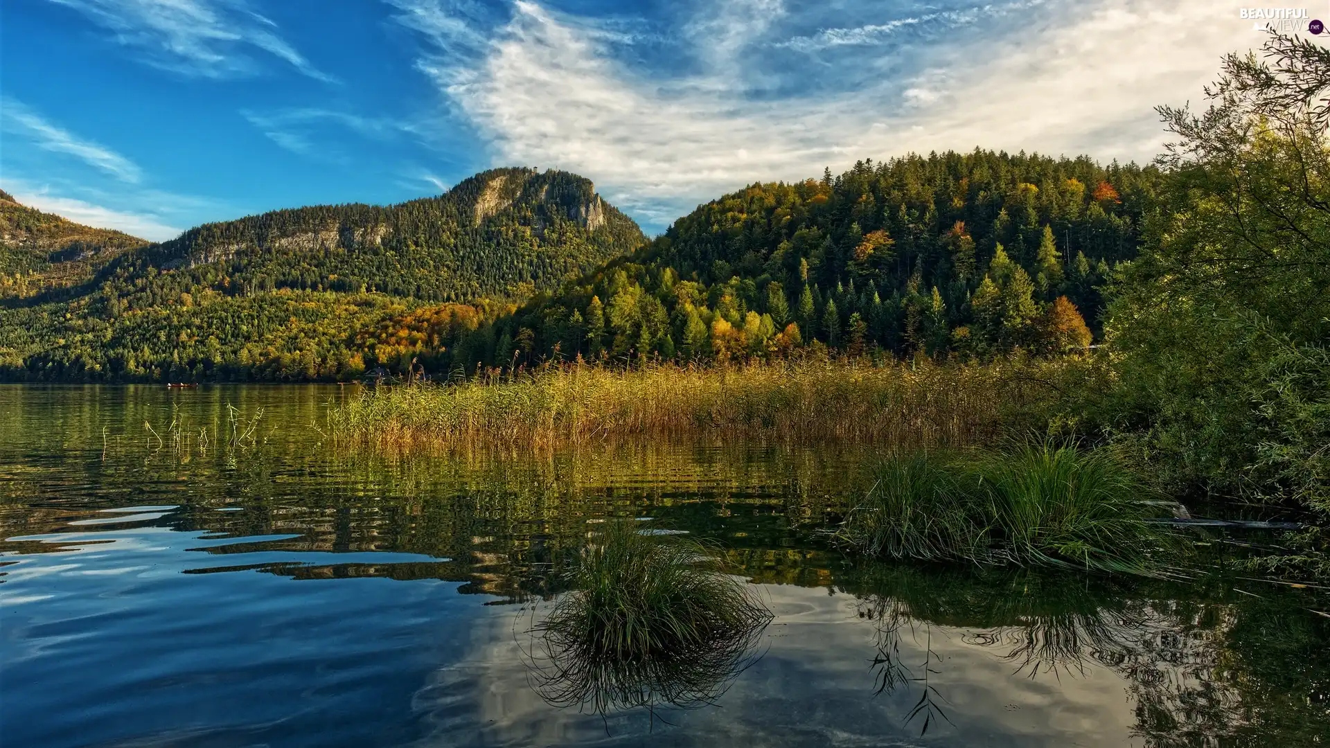 viewes, lake, Tufts, trees, Mountains, rushes, grass