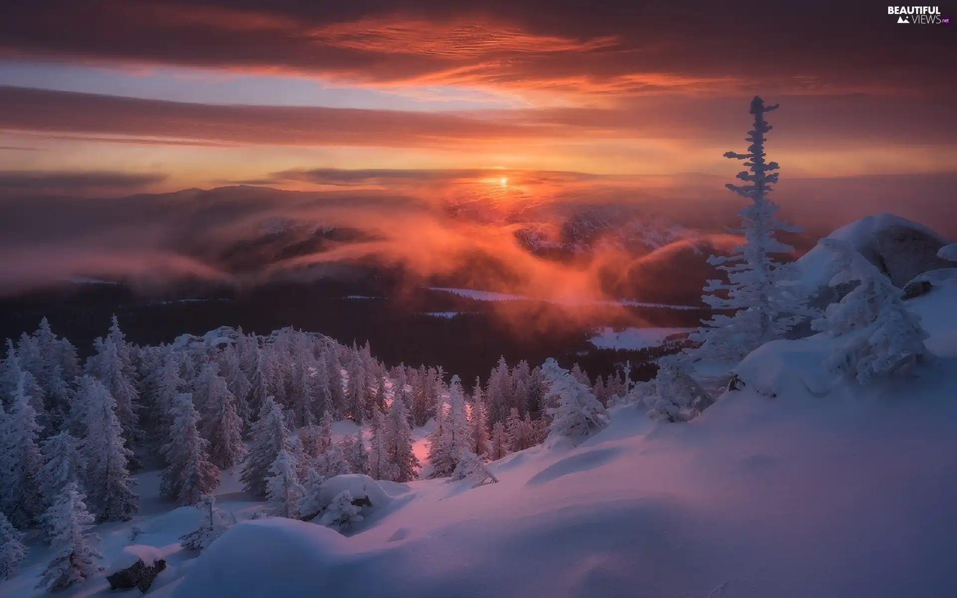 Taganaj National Park, winter, viewes, Sunrise, trees, Ural Mountains, Russia, Snowy