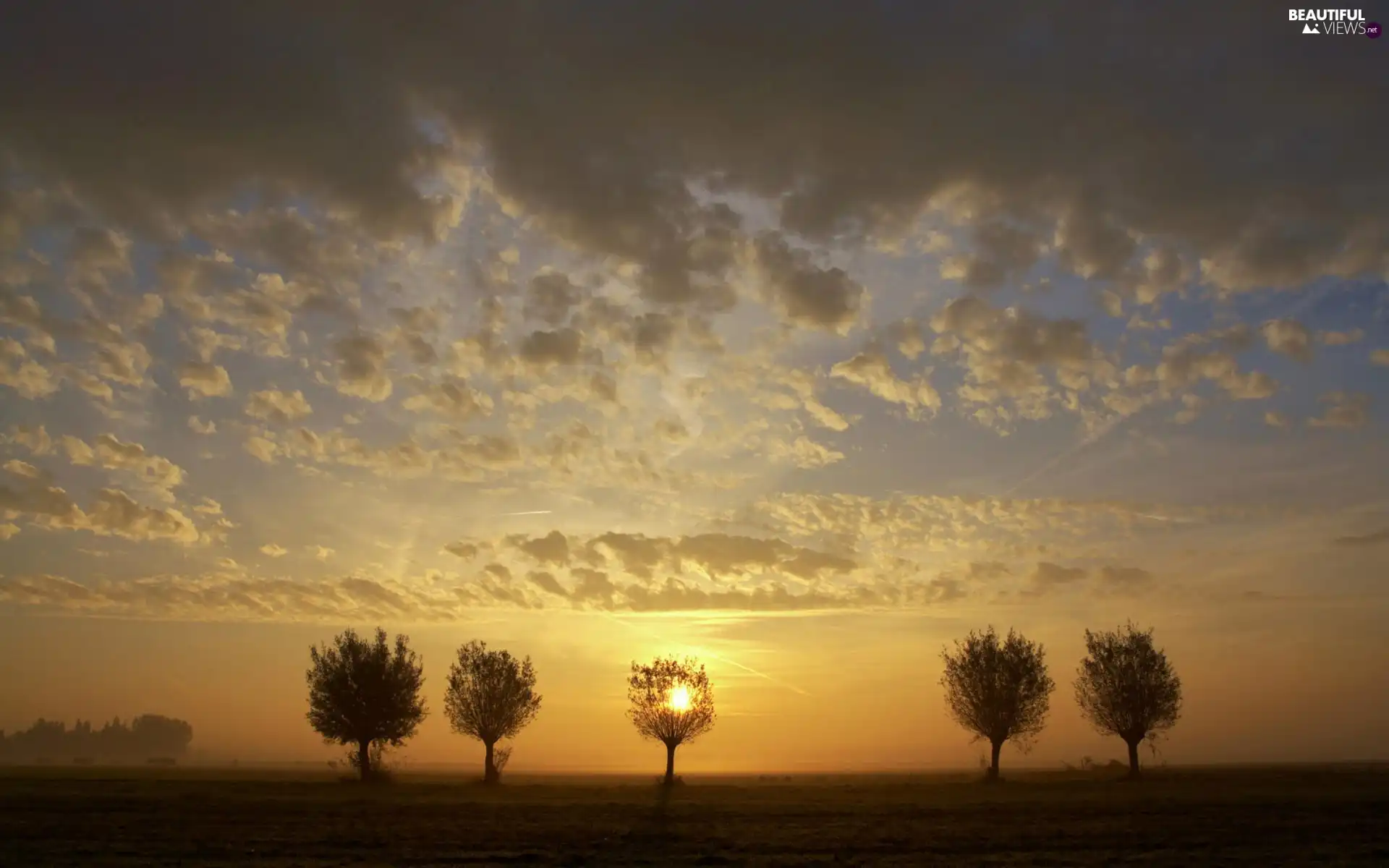 rays, sun, trees, viewes, clouds, west