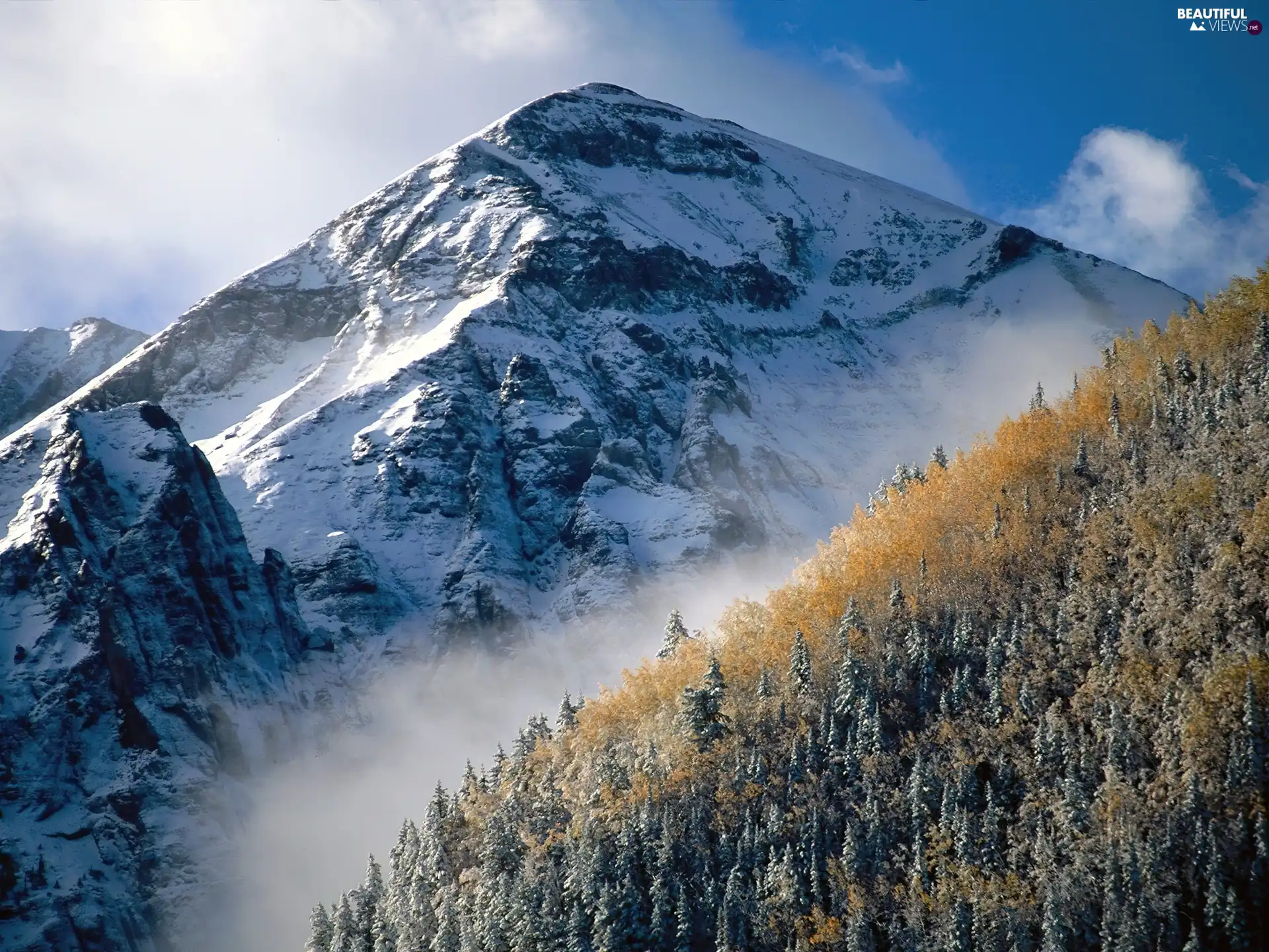 snow, mountains, trees, viewes, forest, winter