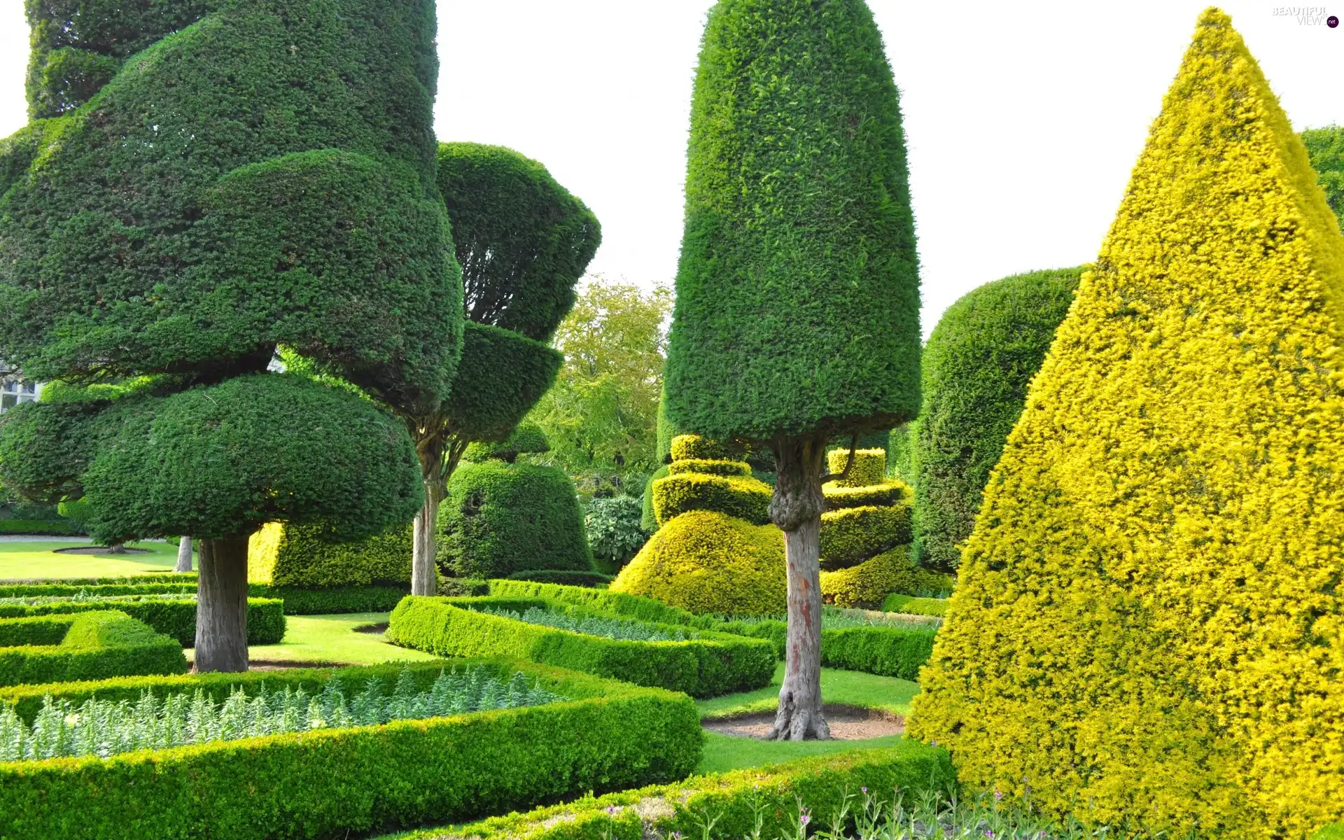 trees, viewes, beatyfull, ornamental, Garden