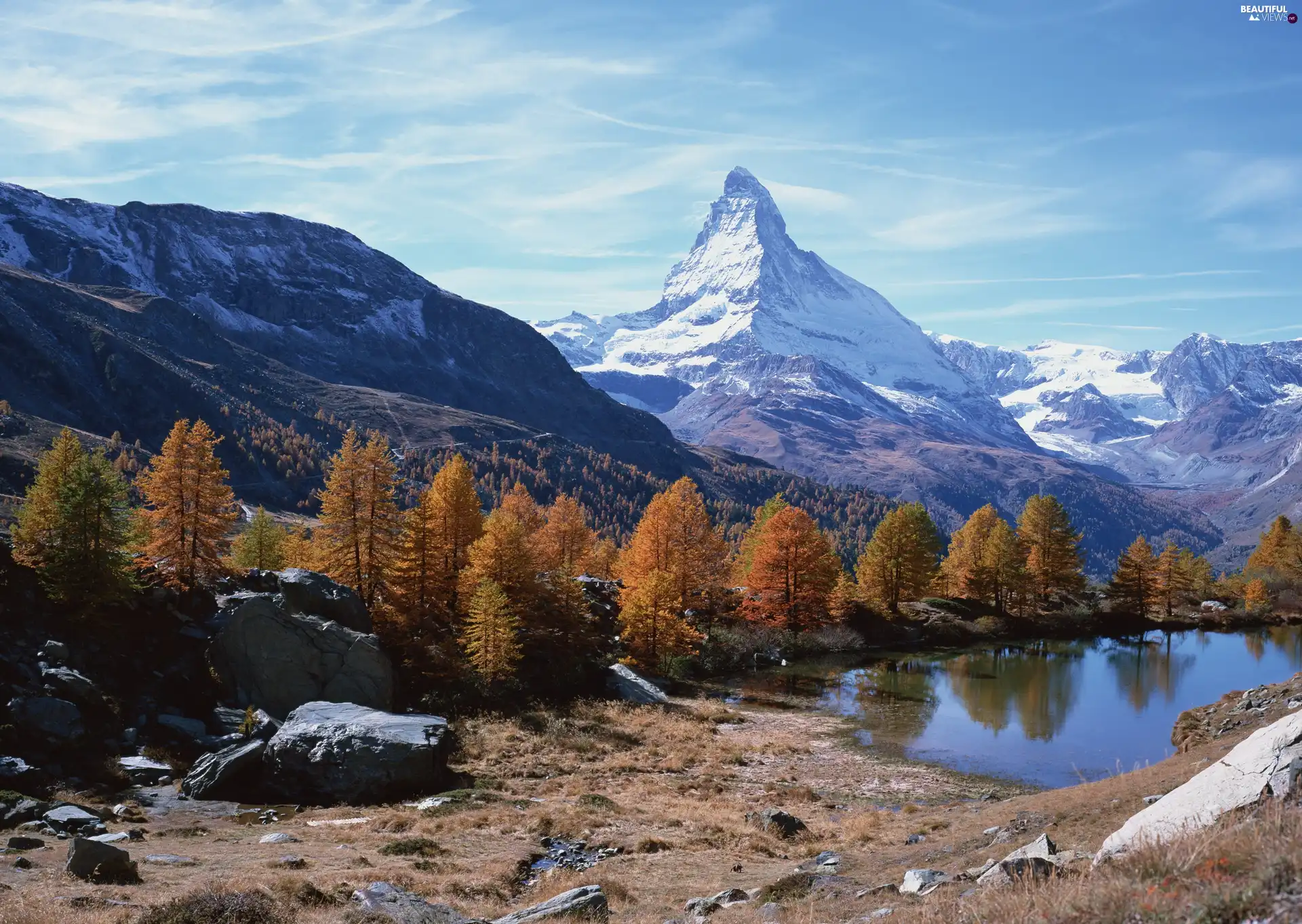 woods, Snowy, trees, viewes, lake, Mountains