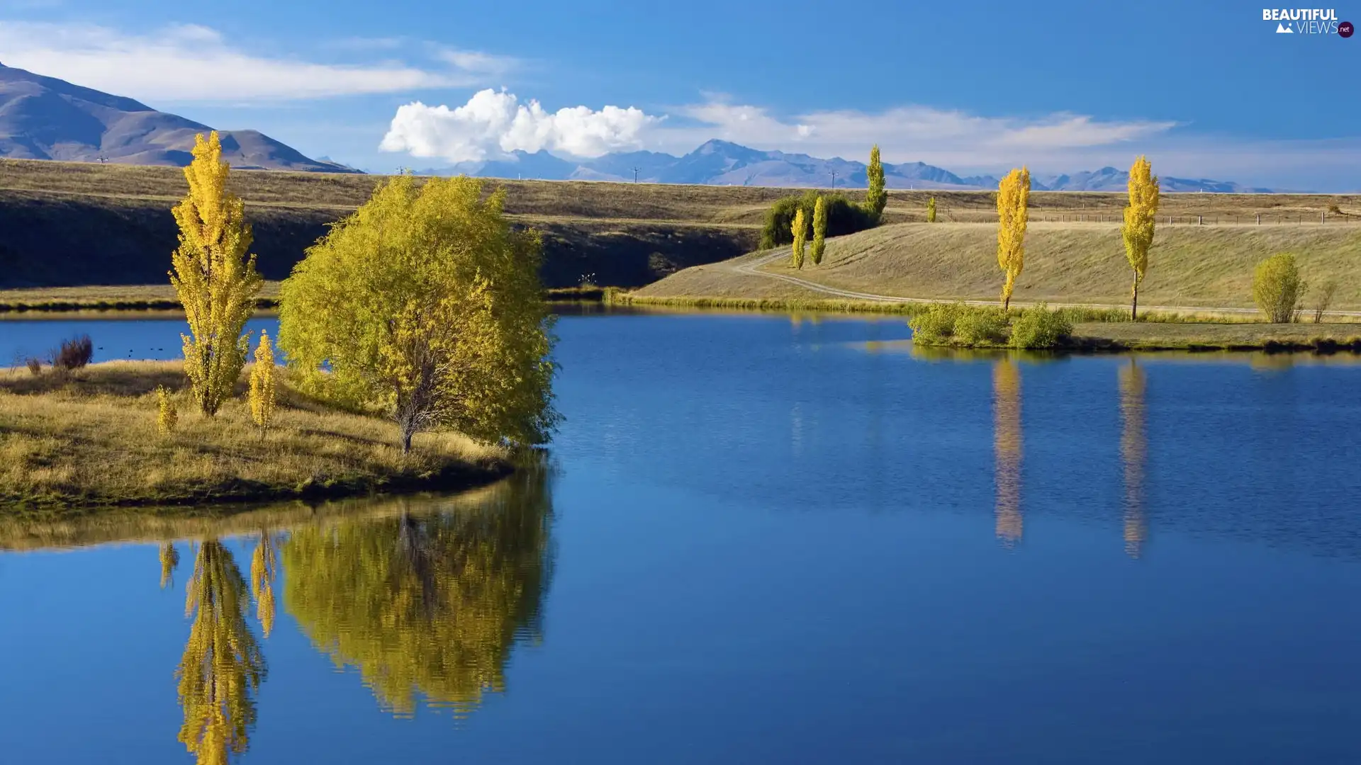 trees, viewes, Blue, water, lake