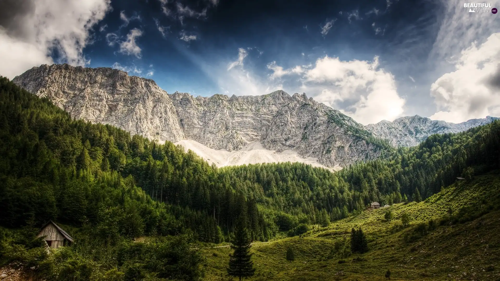 trees, viewes, Sky, clouds, Mountains