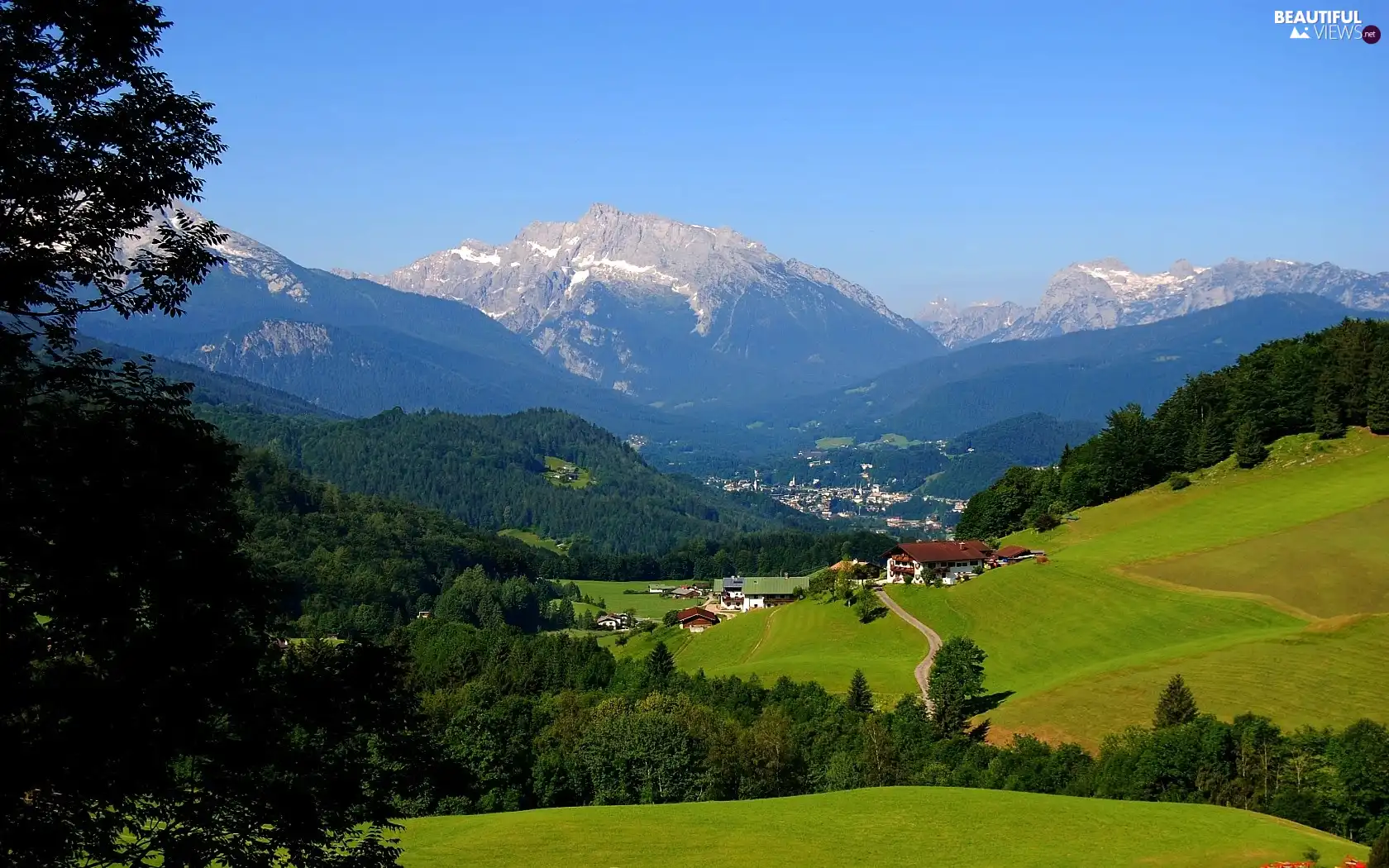 trees, viewes, Town, medows, Mountains