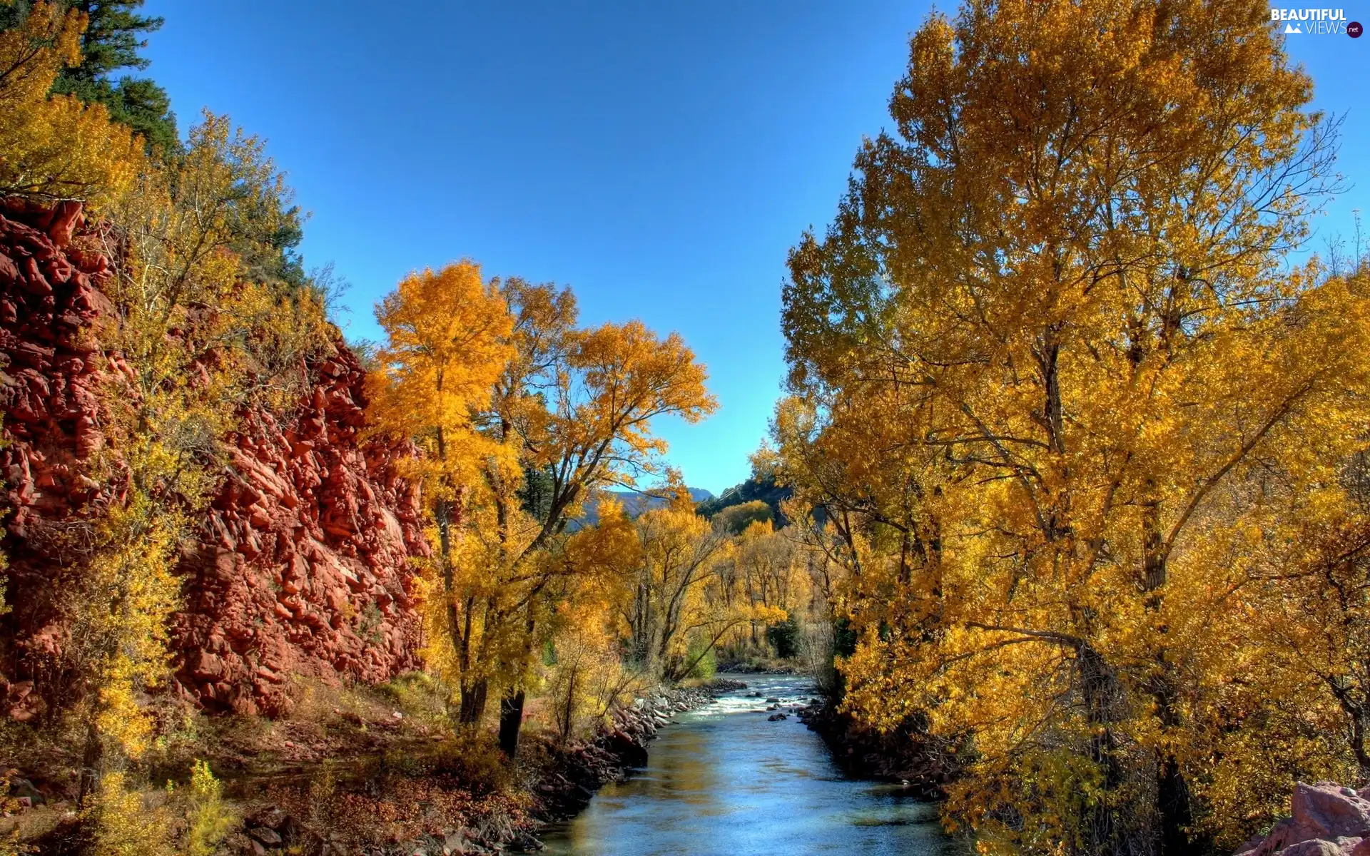 trees, viewes, brook, Autumn, Narrow