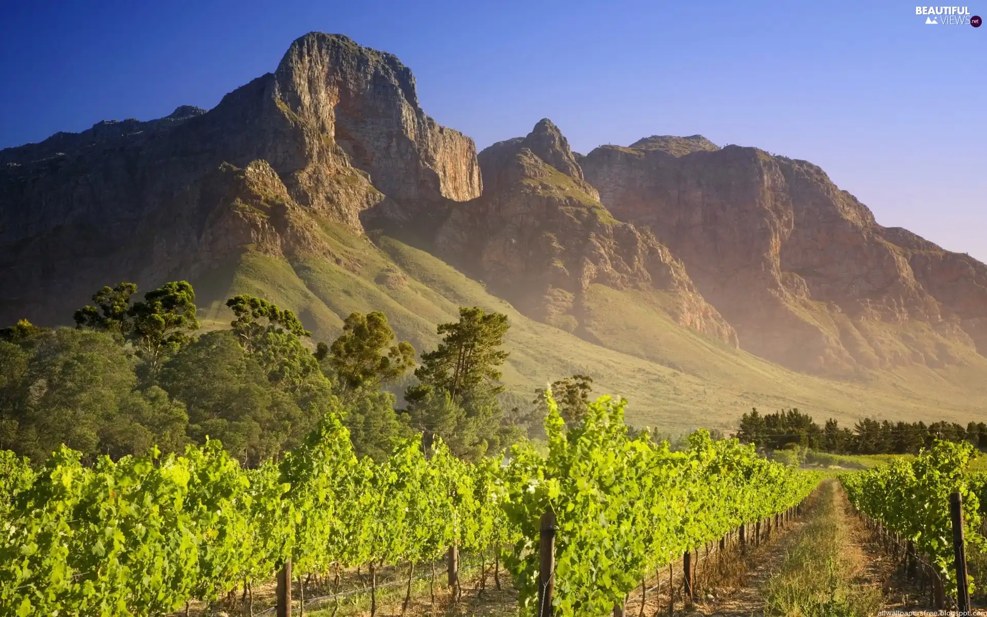 Way, Mountains, trees, viewes, net, Rocky