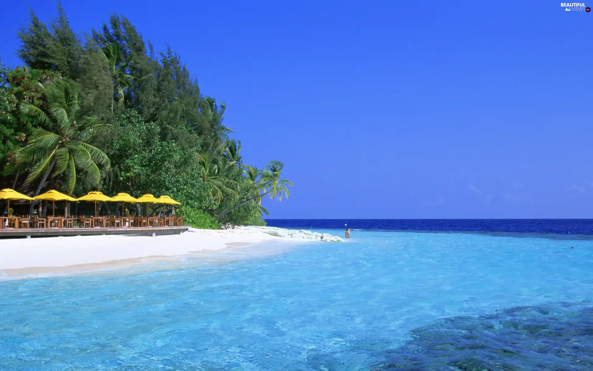 trees, viewes, Beaches, green ones, sea