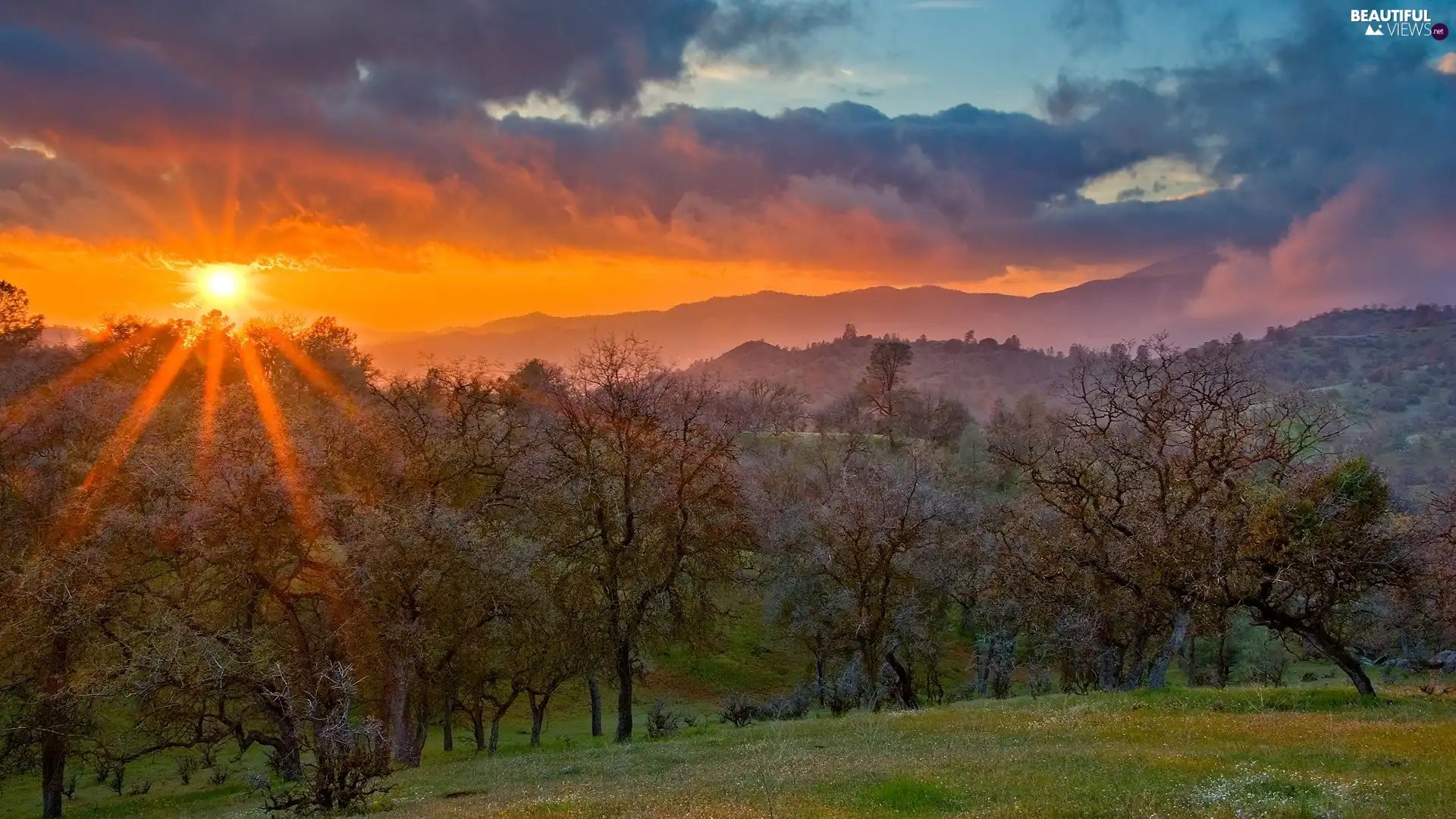 trees, viewes, sun, Mountains, rays