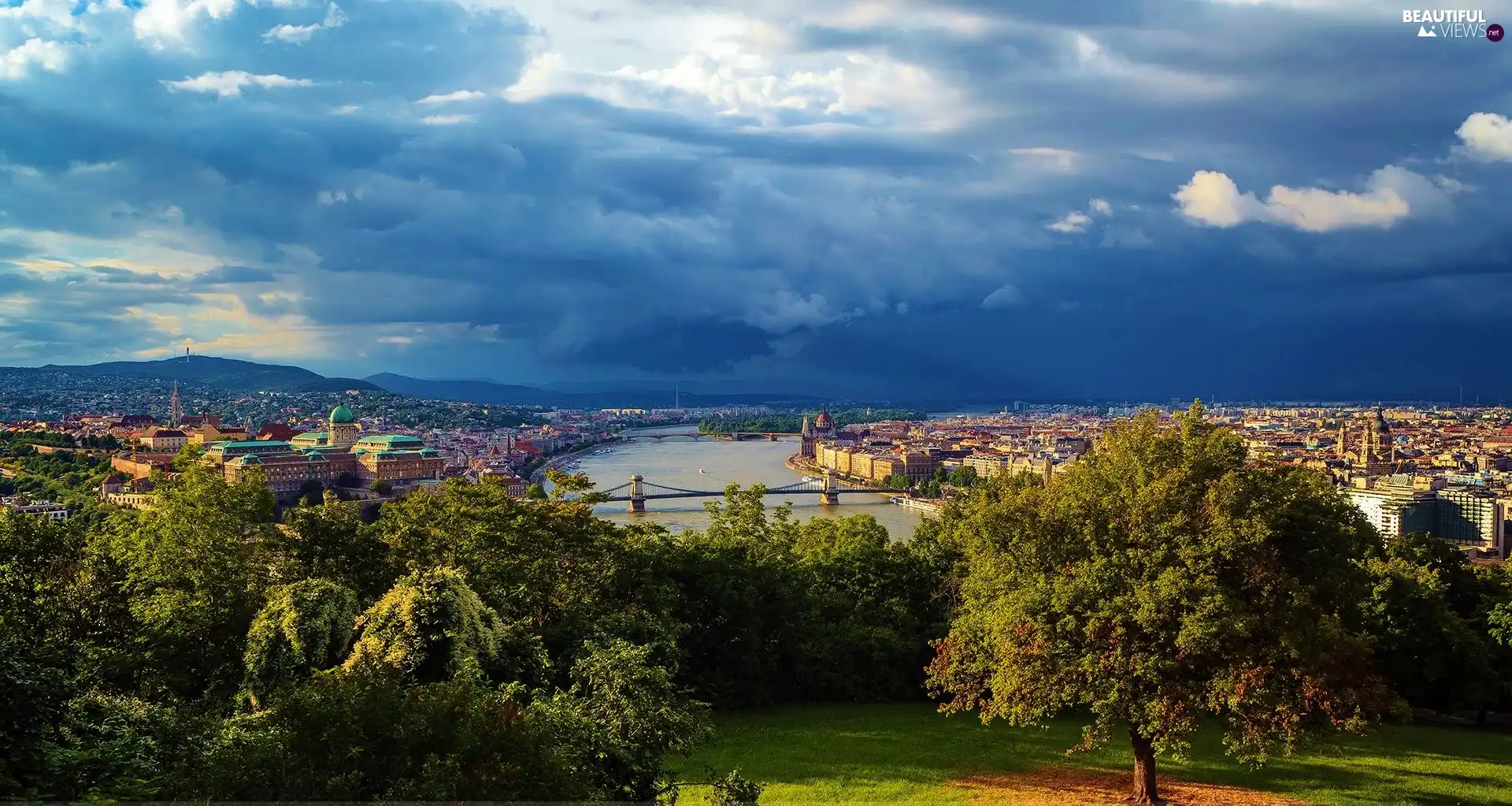 trees, viewes, Sky, clouds, River