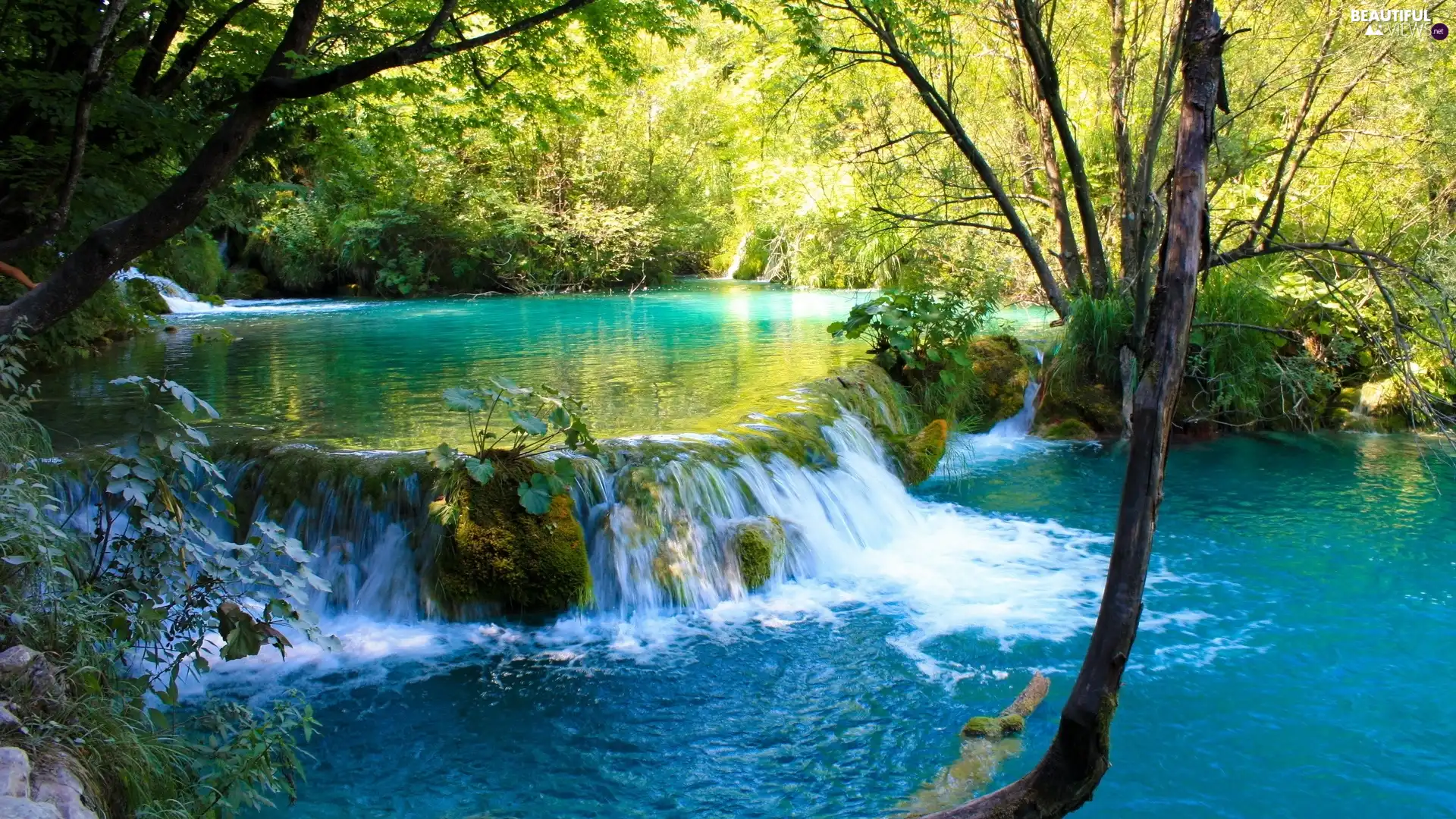 trees, viewes, azure, water, River