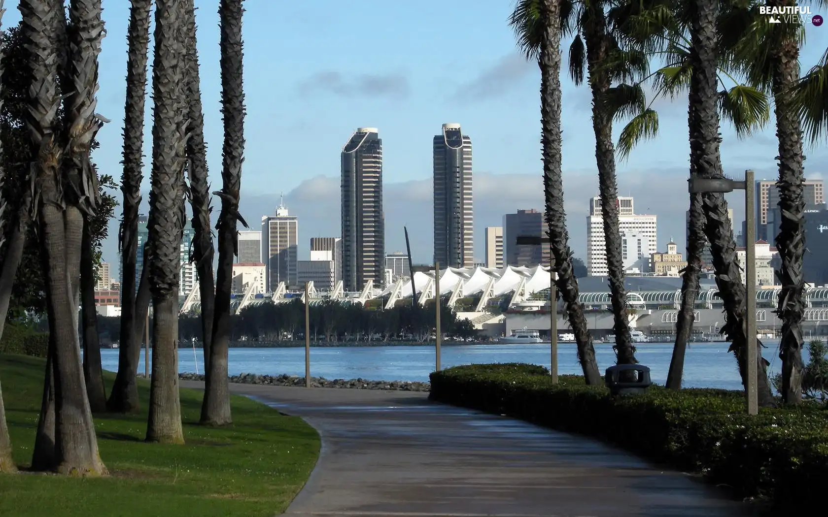 trees, viewes, skyscraper, Way, San Diego