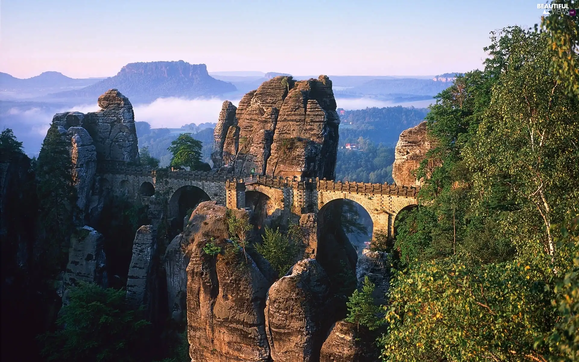 trees, viewes, rocks, bridge, View