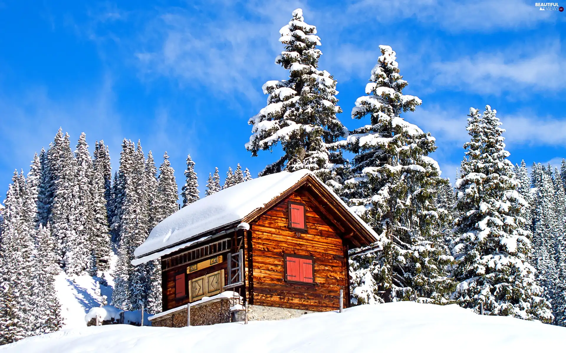 trees, viewes, Home, Snowy, winter