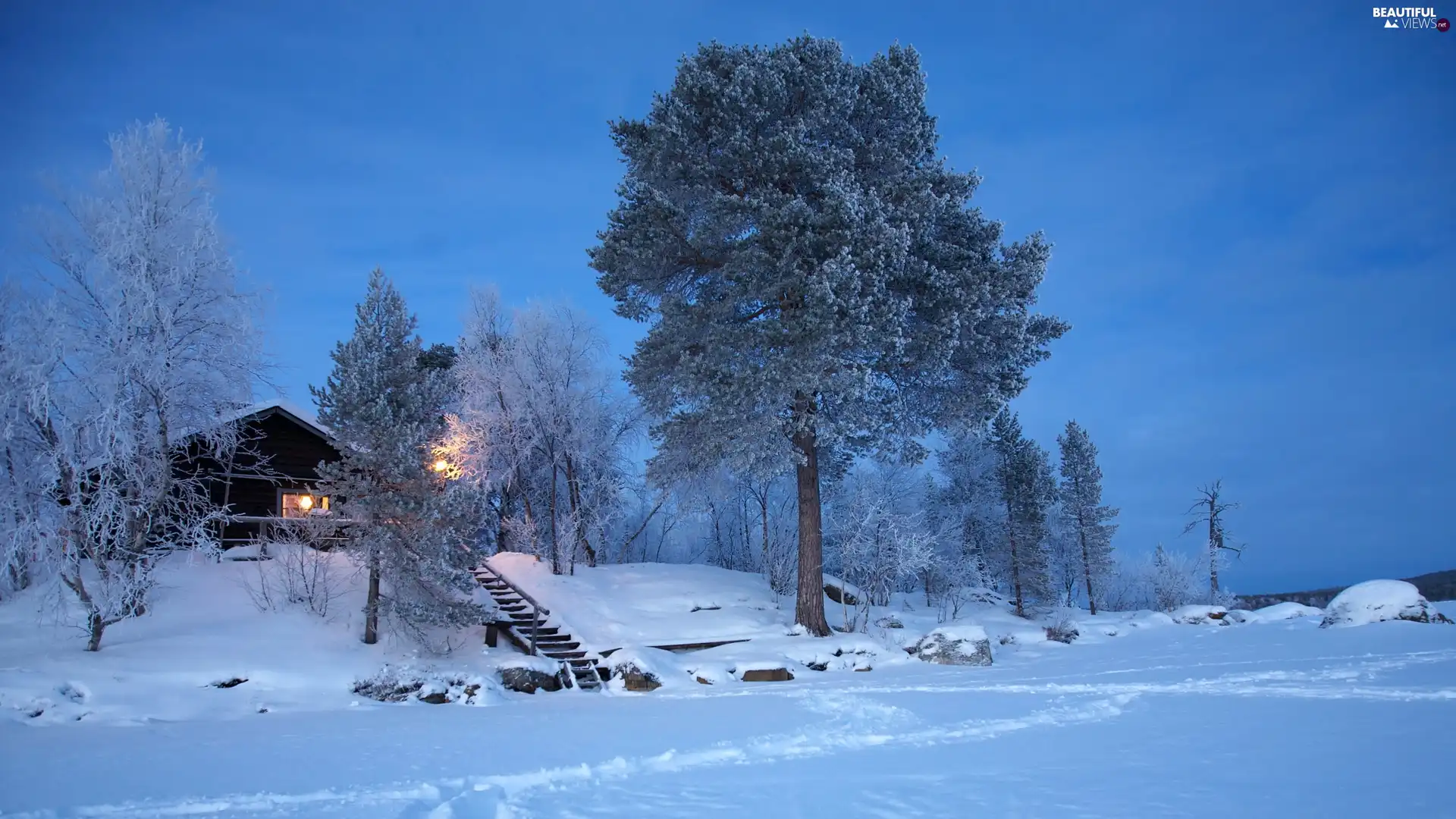 trees, viewes, Home, Stairs, winter