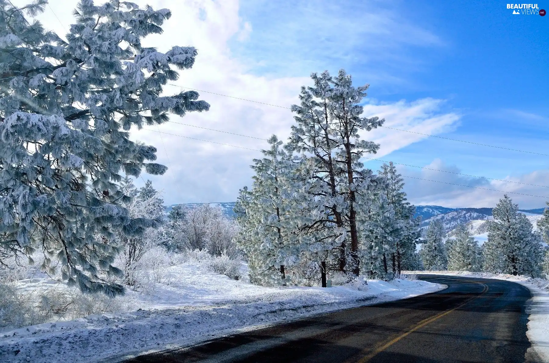 trees, viewes, Way, turn, winter