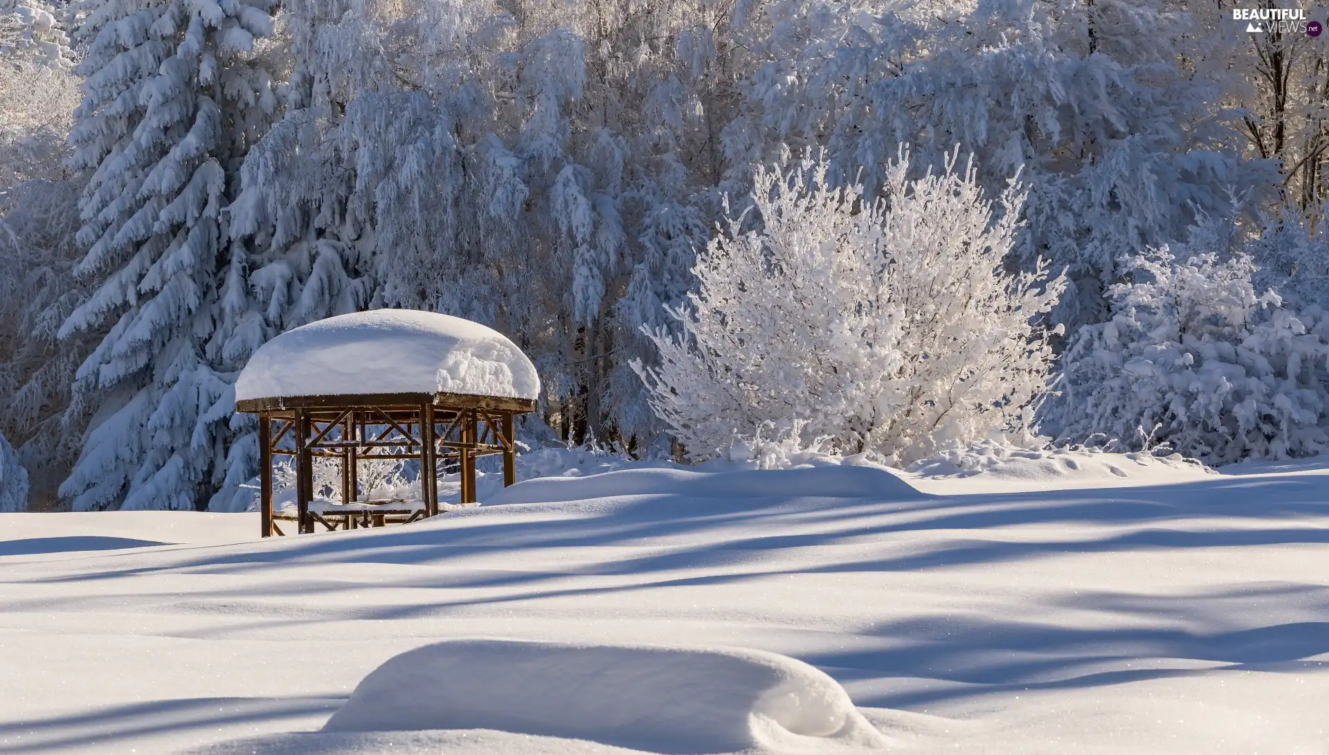 winter, viewes, alcove, trees