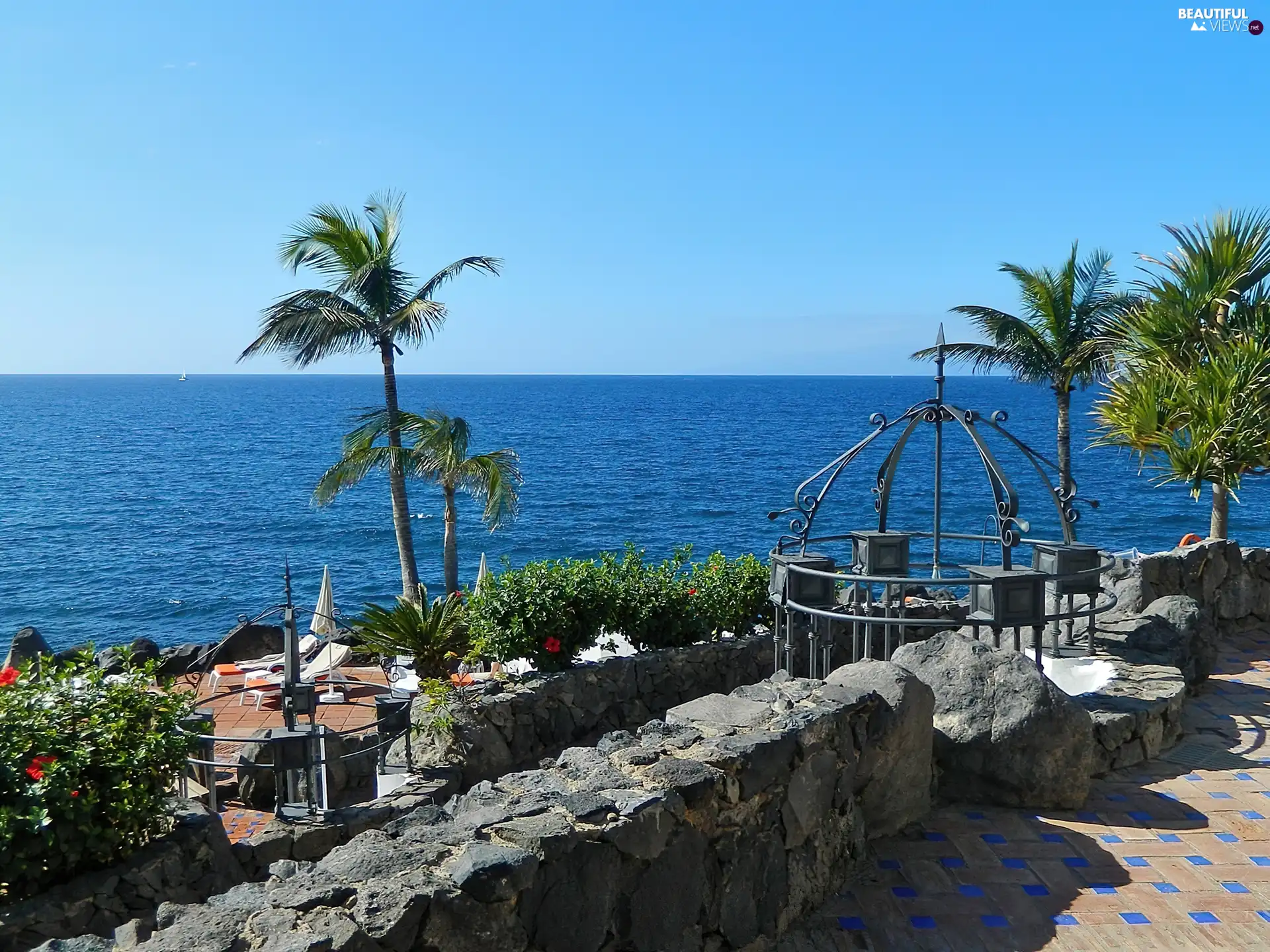 Ocean, Palms, tropic, terrace