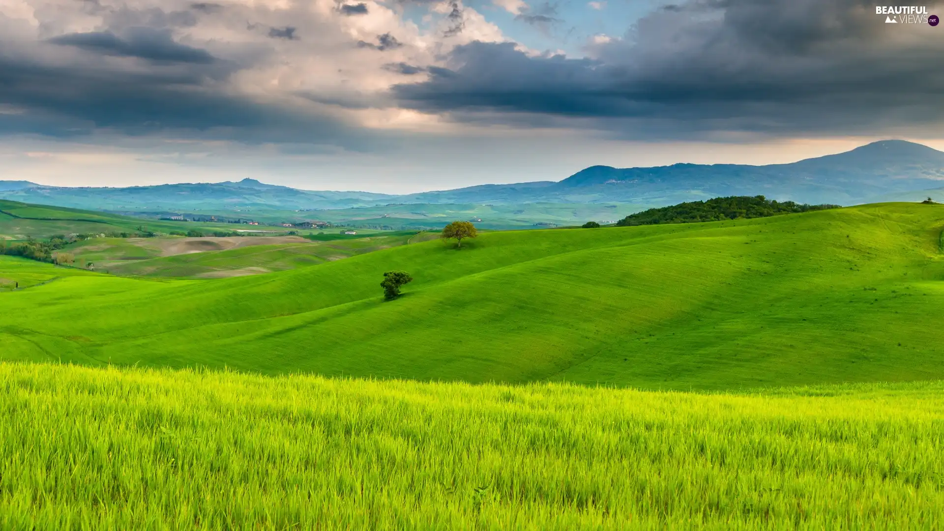 woods, medows, Tuscany, Italy, horizon, Mountains