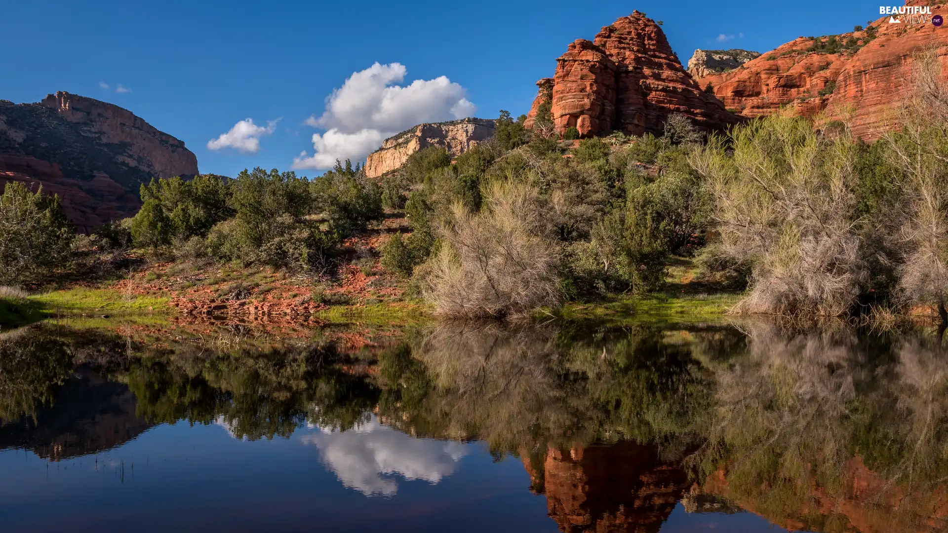 rocks, Red, Bush, trees, Arizona, The United States, lake, Sedona, viewes