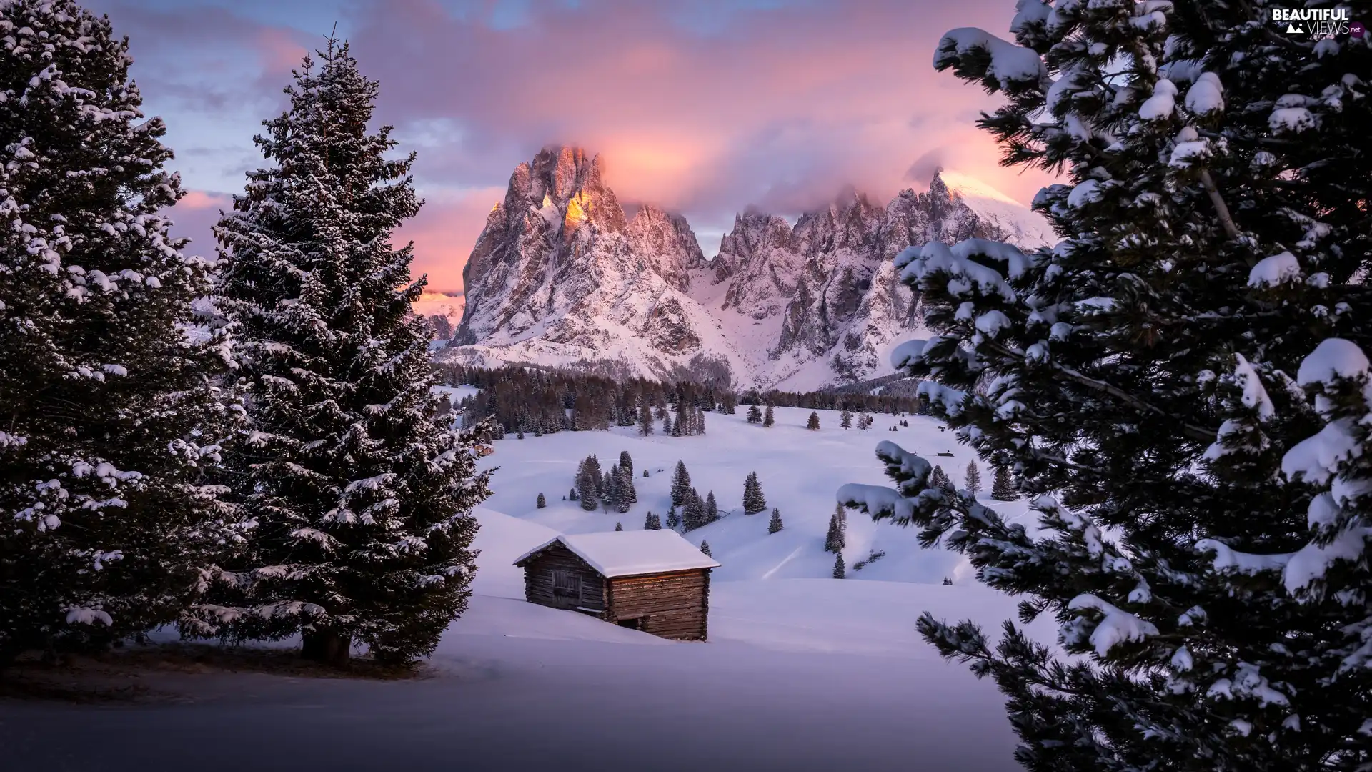 trees, Trentino-Alto Adige, Seiser Alm Meadow, Valley, winter, Italy, Dolomites, cote, viewes, Sassolungo Mountains