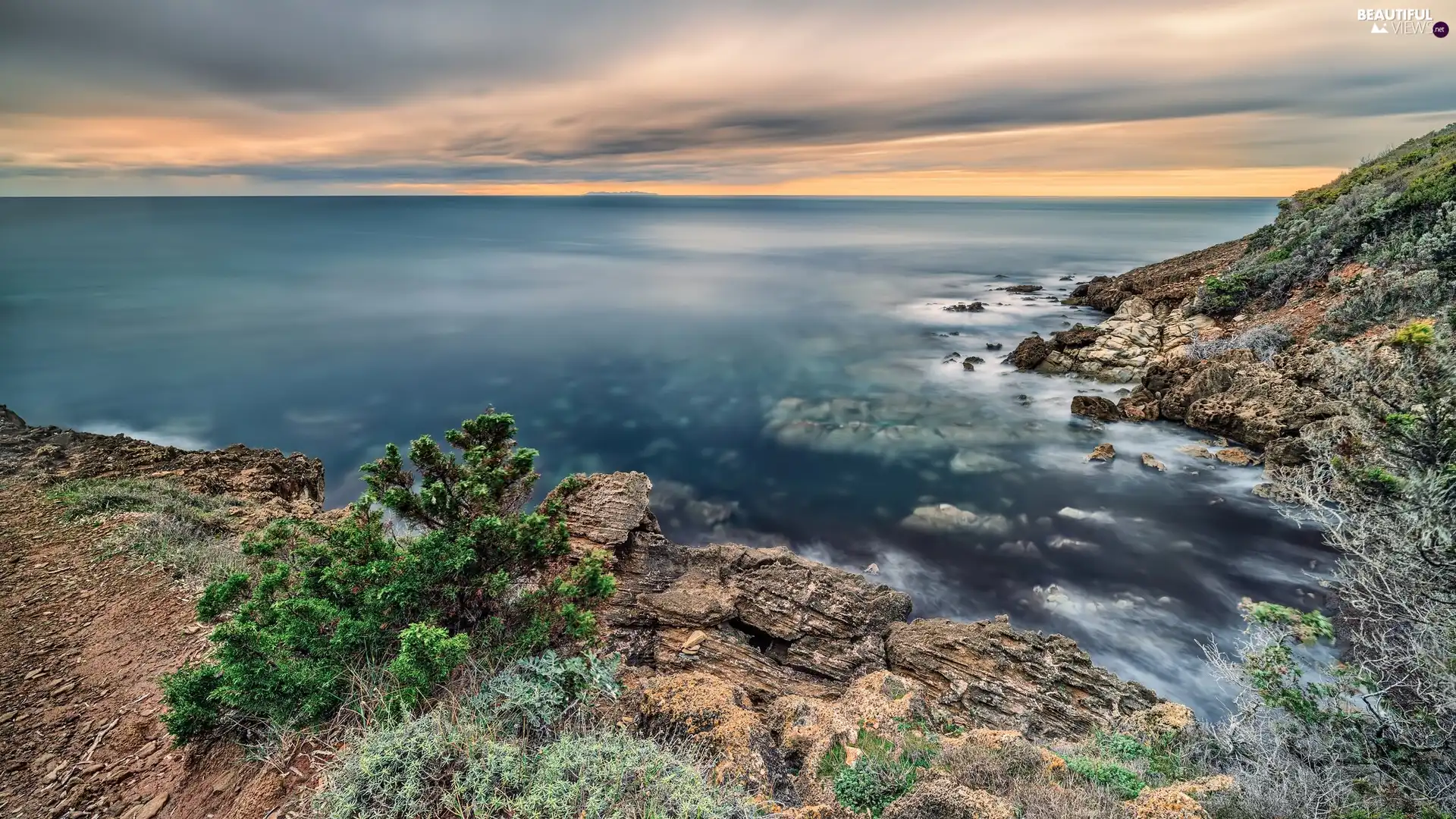 Bush, VEGETATION, Gulf, rocks, sea