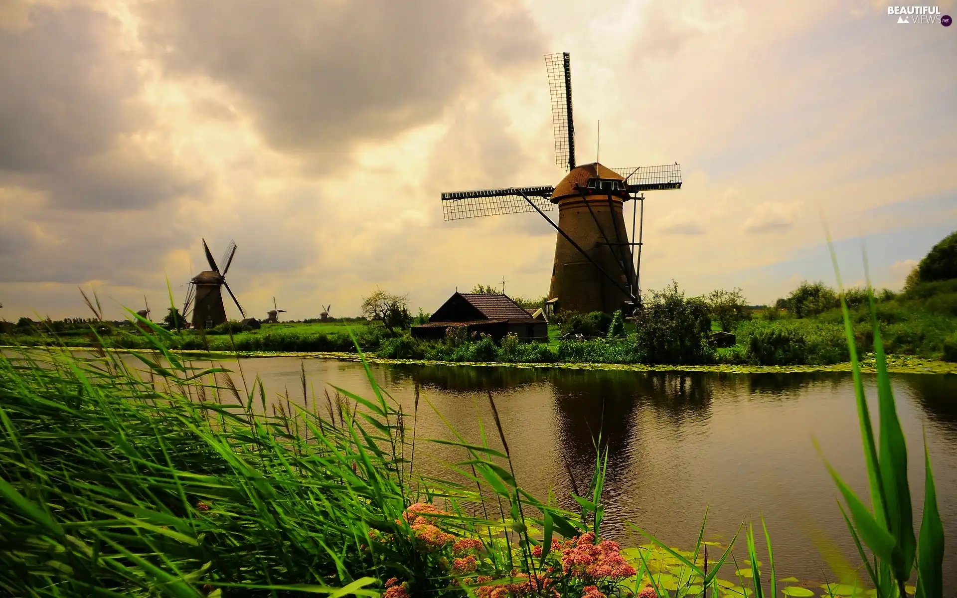 VEGETATION, Windmills, River