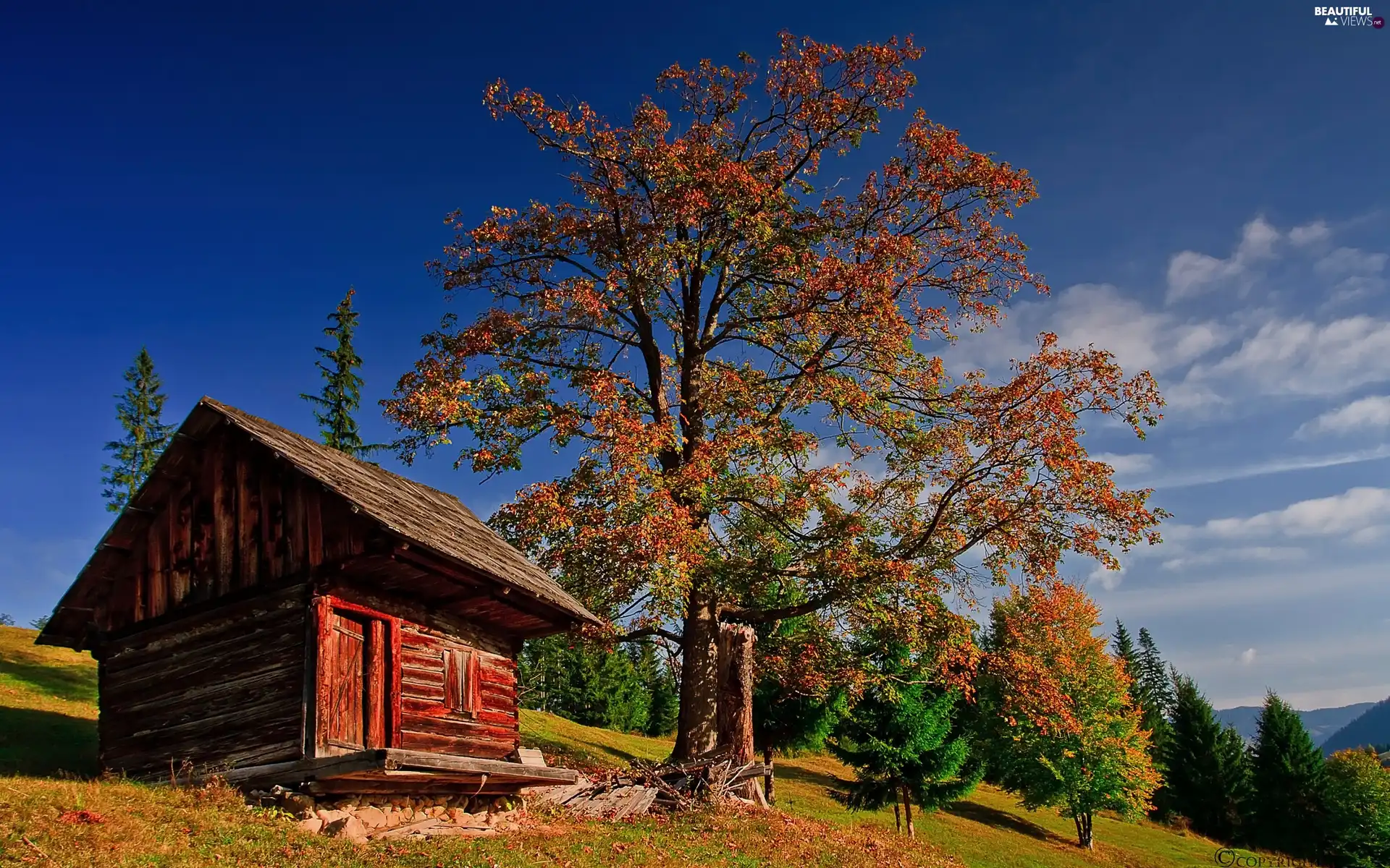 viewes, autumn, Home, trees, Mountains