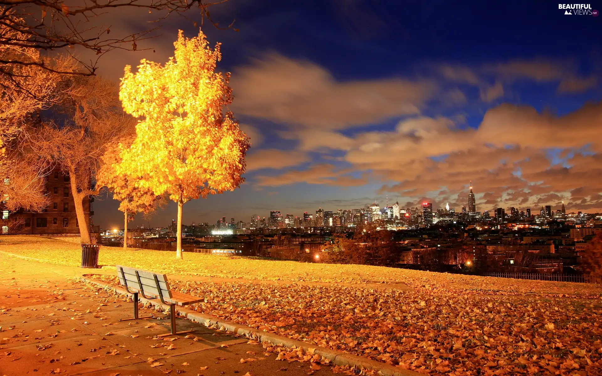 trees, panorama, Bench, town, River, viewes, autumn